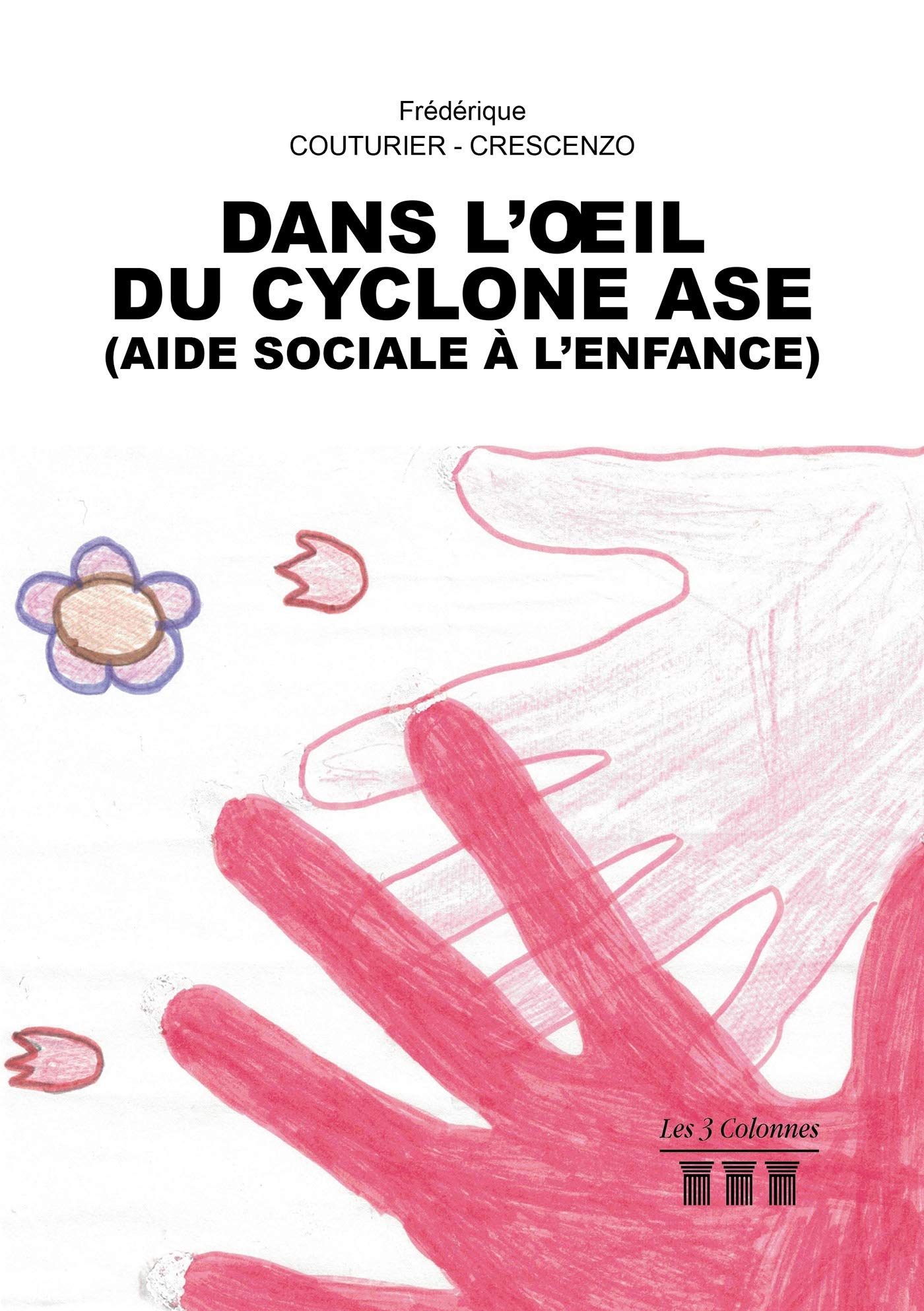 Dans l'oeil du cyclone ASE (Aide Sociale à l'Enfance) 9782374805382