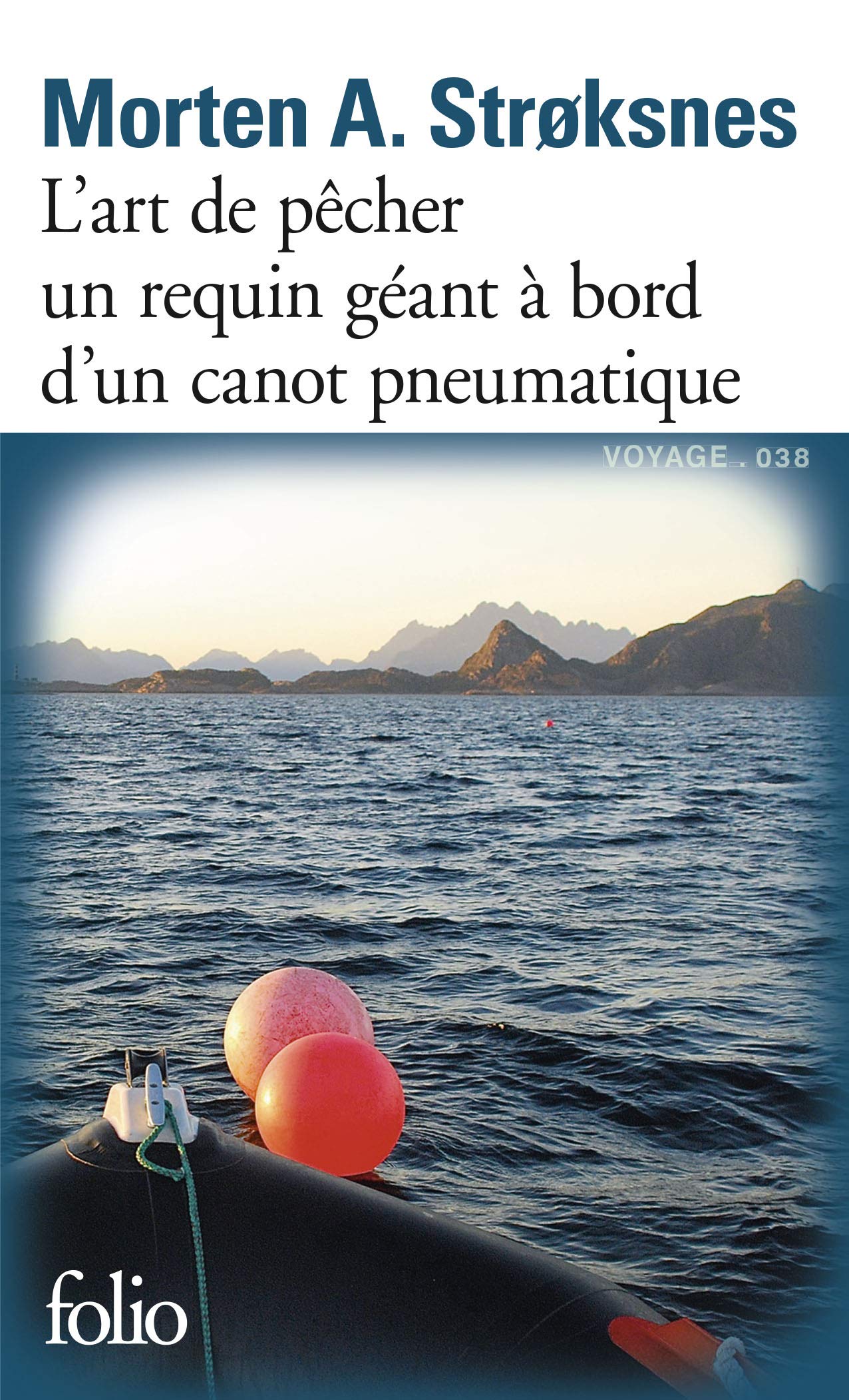 L'art de pêcher un requin géant à bord d'un canot pneumatique sur une vaste mer au fil des quatre saisons: Le livre de la mer 9782072763687