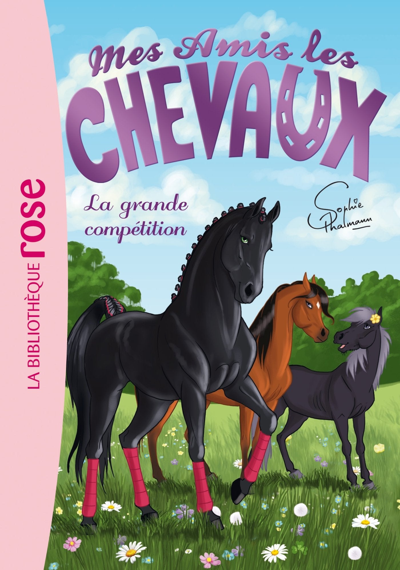 Mes amis les chevaux, tome 2 : La grande compétition 9782012039681