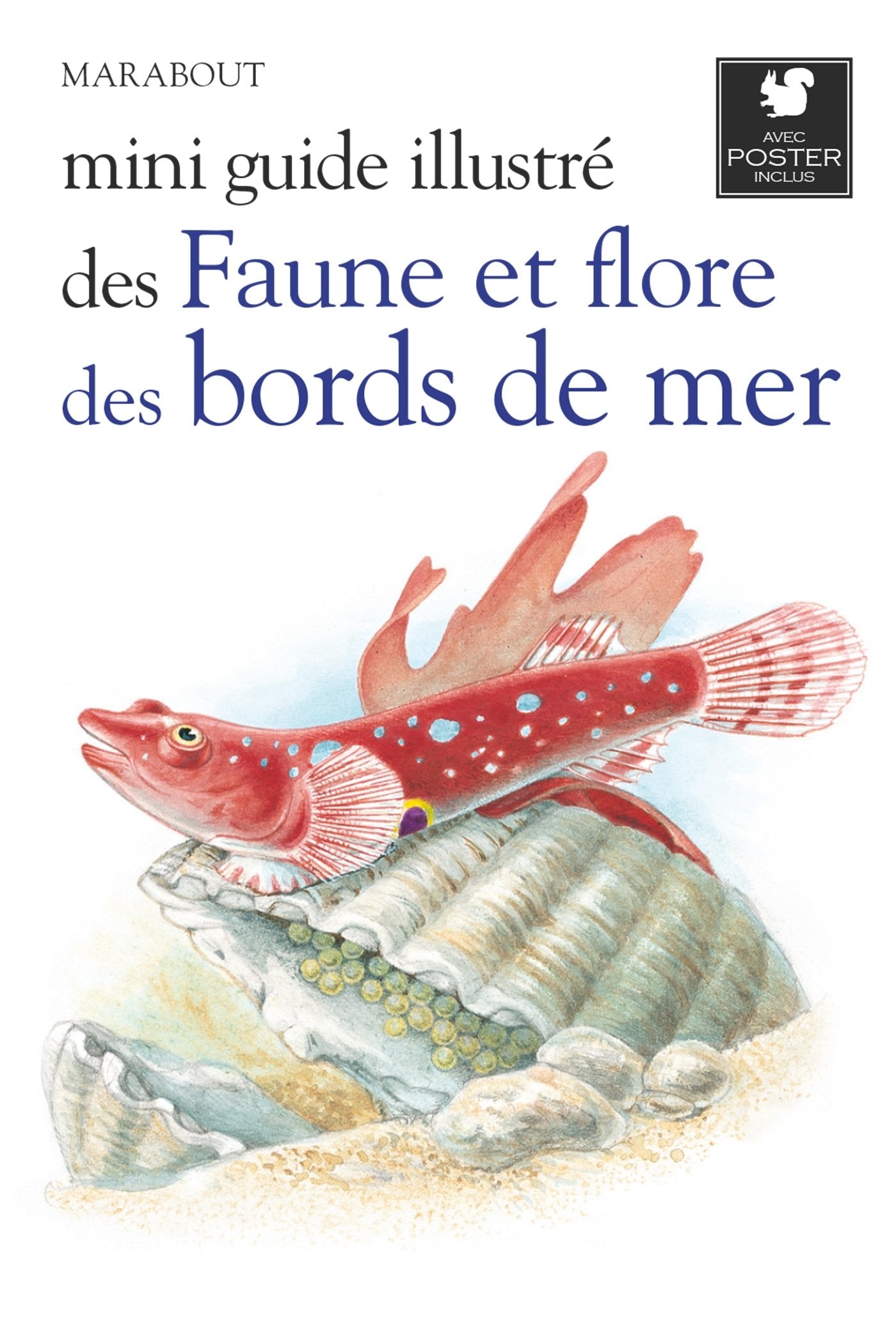 Mini guide illustré des faune et flore des bords de mer 9782501090063