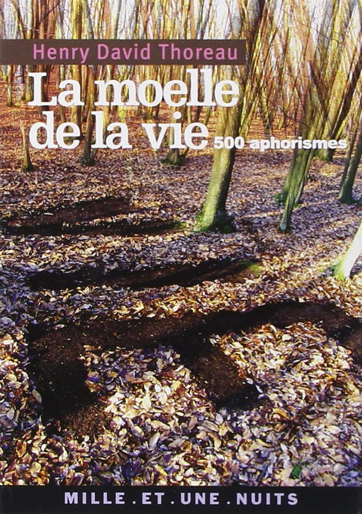 La Moelle de la vie: 500 Aphorismes 9782842059392