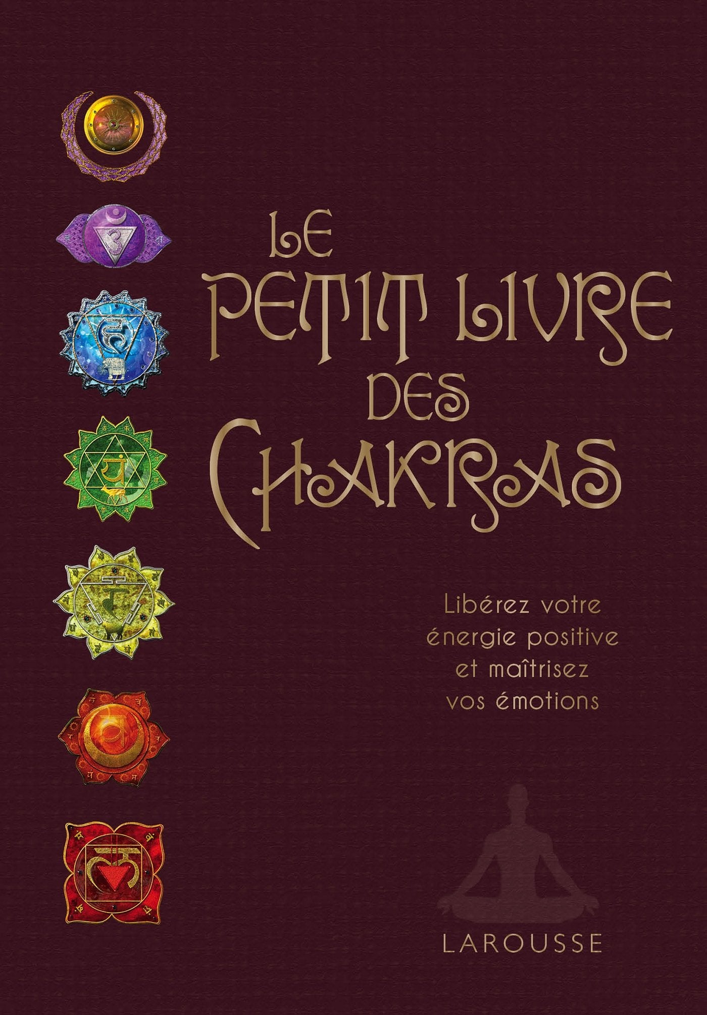 Le petit livre des Chakras 9782035896087