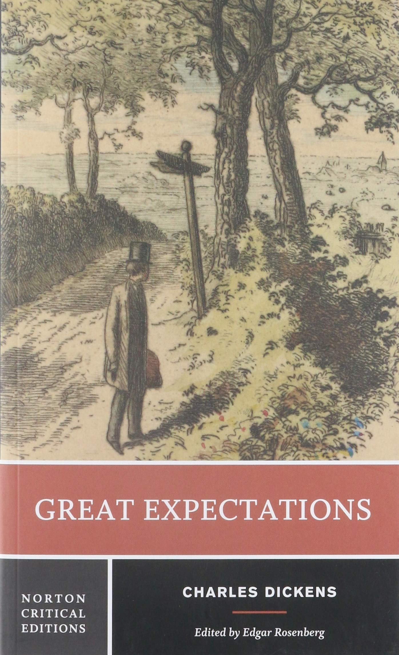 Great Expectations: Authoritative Text, Backgrounds, Contexts, Criticism 9780393960693