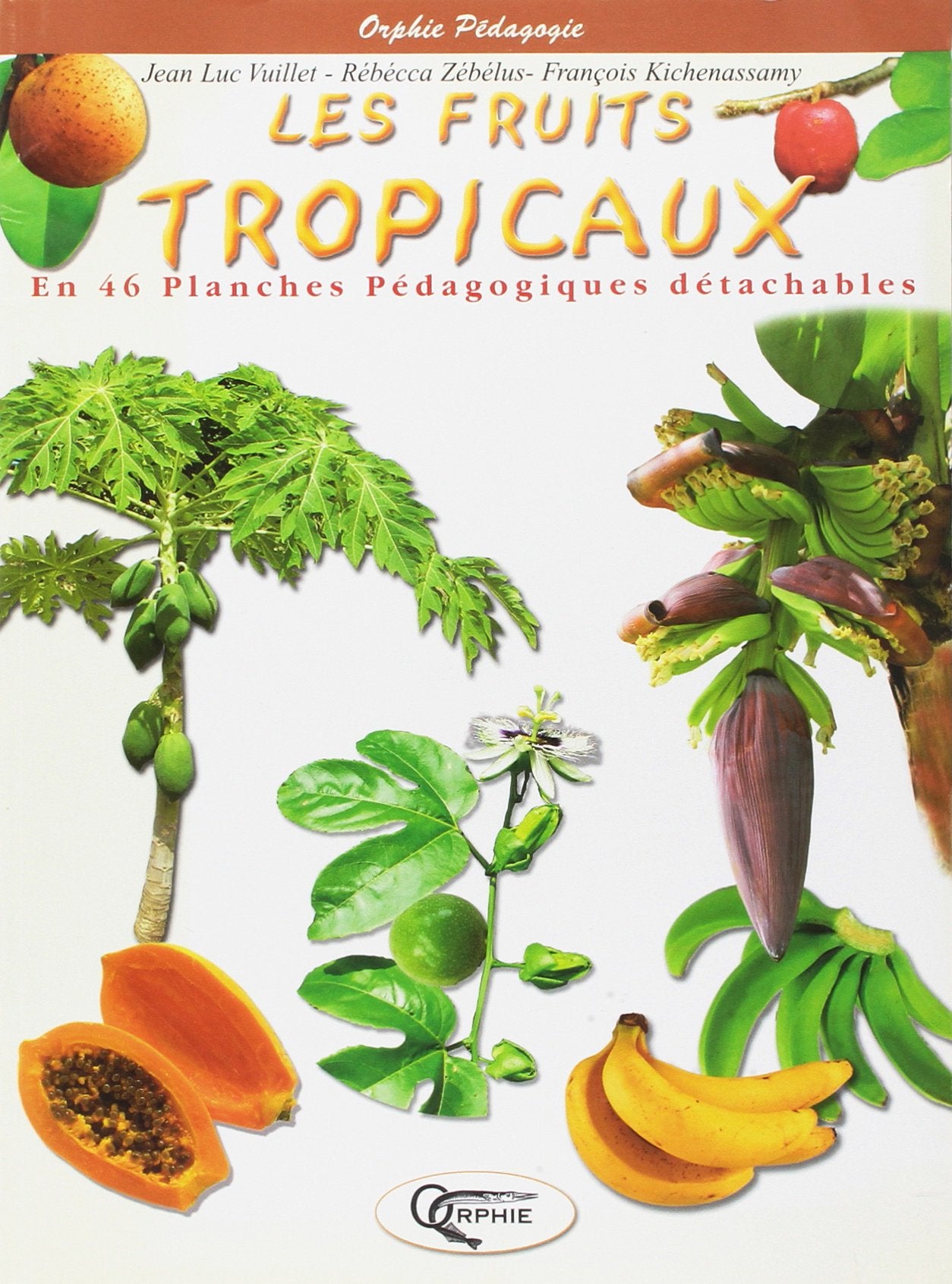 Les fruits tropicaux 9782877633000