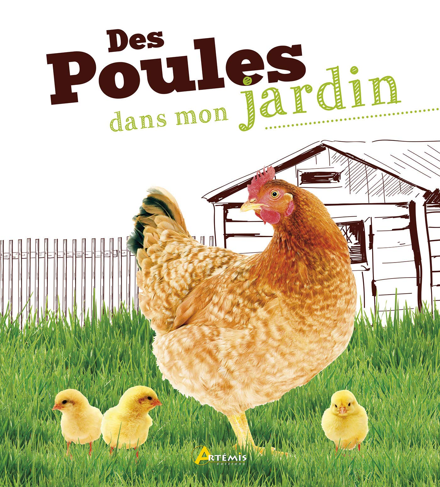 Des poules dans mon jardin 9782816010091