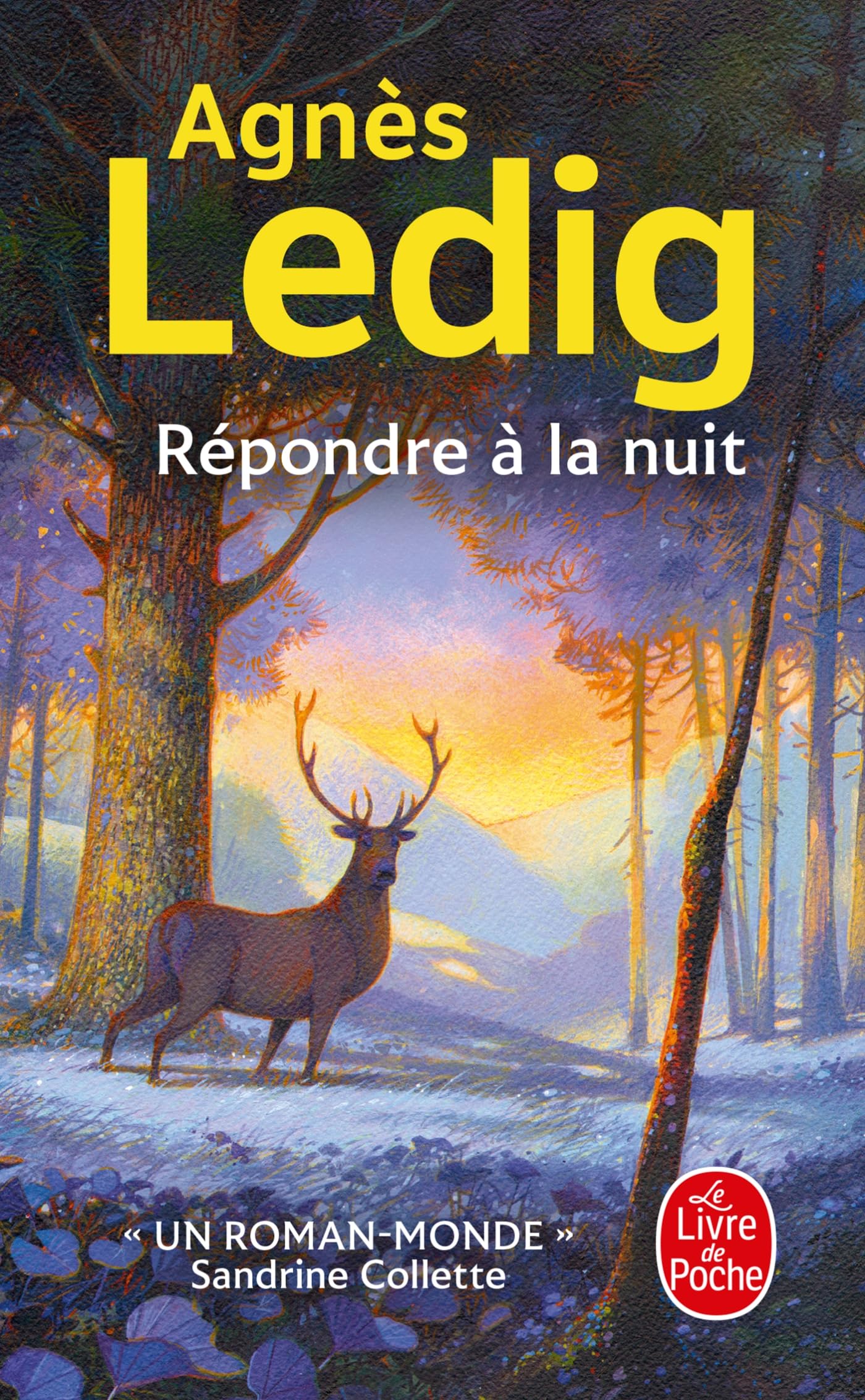 Répondre à la nuit 9782253911524