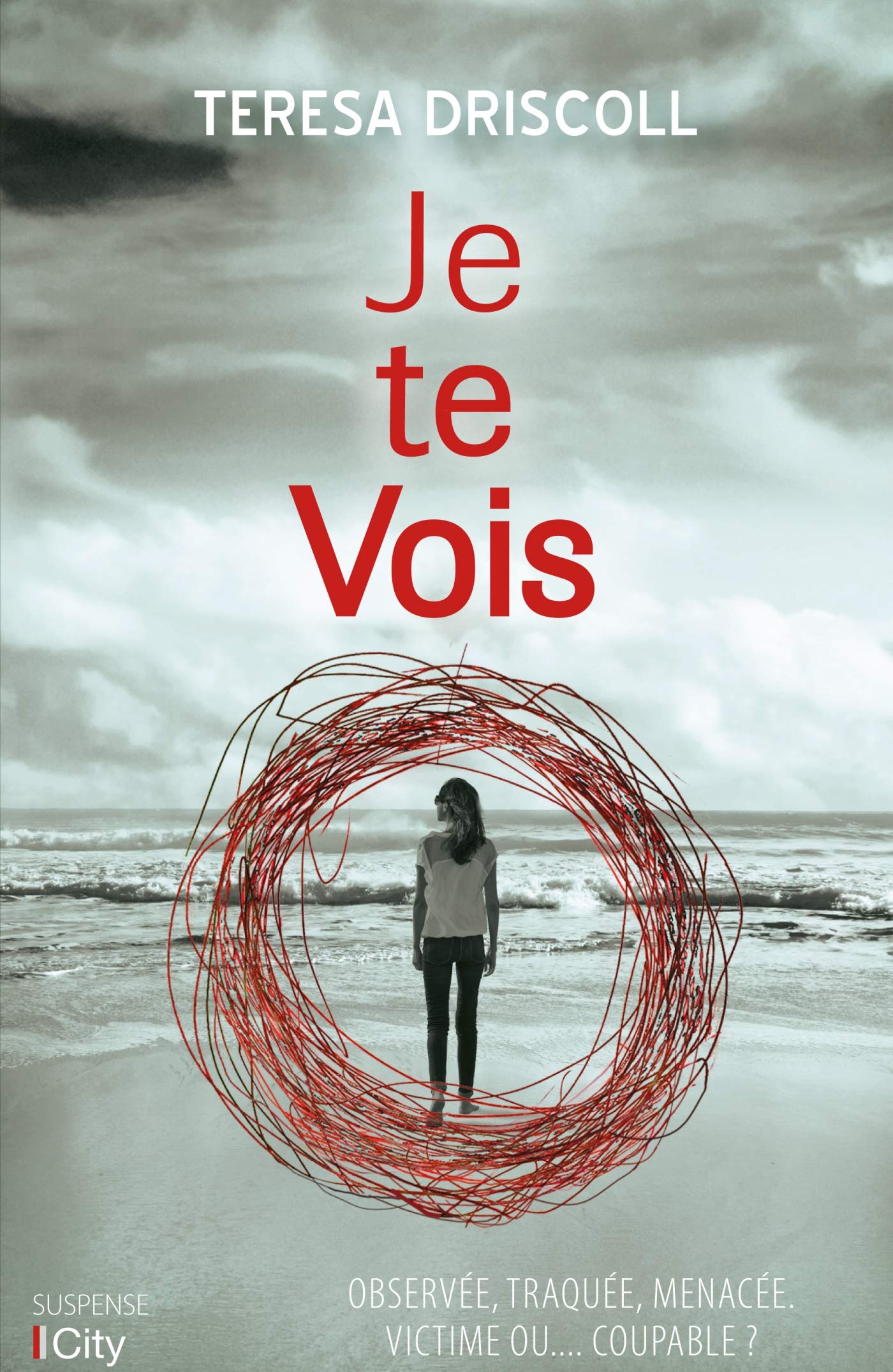 Je te vois 9782824613802