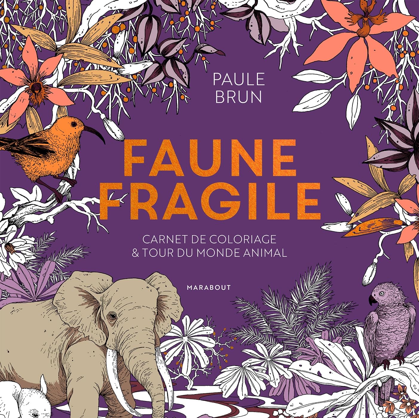 Faune fragile: Carnet de coloriage et tour du monde animal 9782501178815