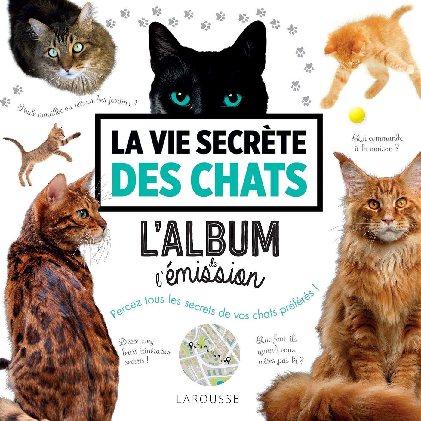 La vie secrète des chats - L'album de l'émission 9782035977465