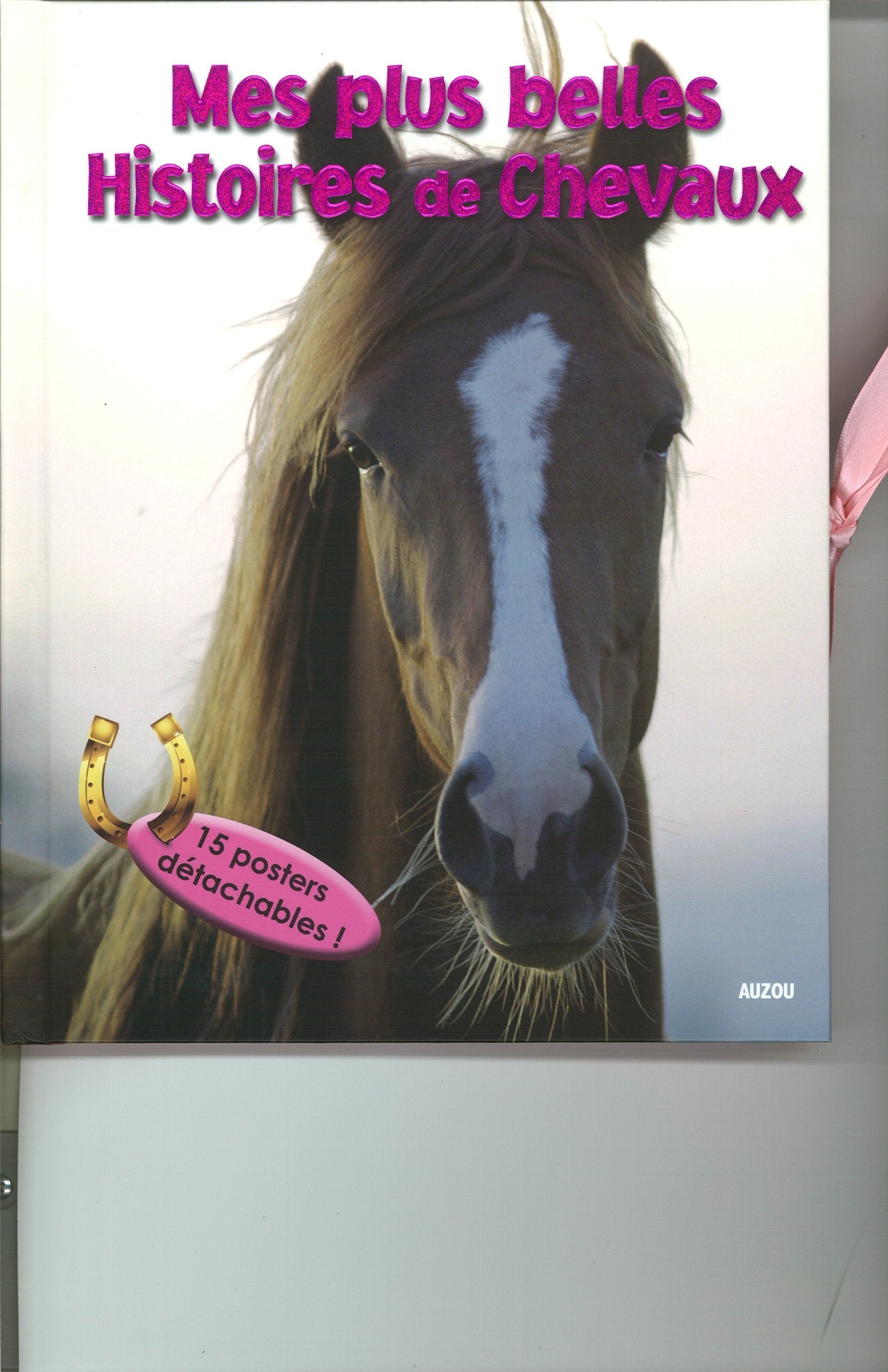 MON LIVRE POSTERS DES CHEVAUX ET DES LICORNES 9782733813812