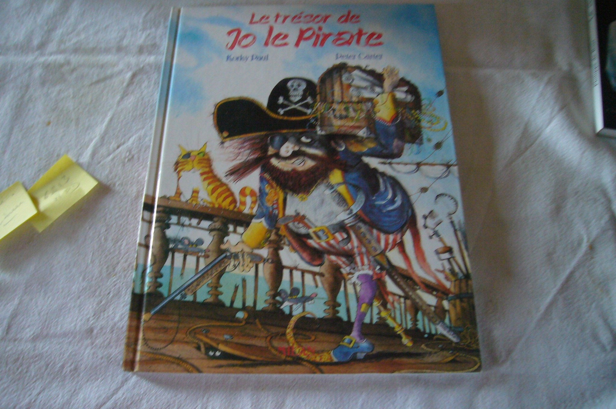 Le Trésor de Jo le pirate 9782867265938