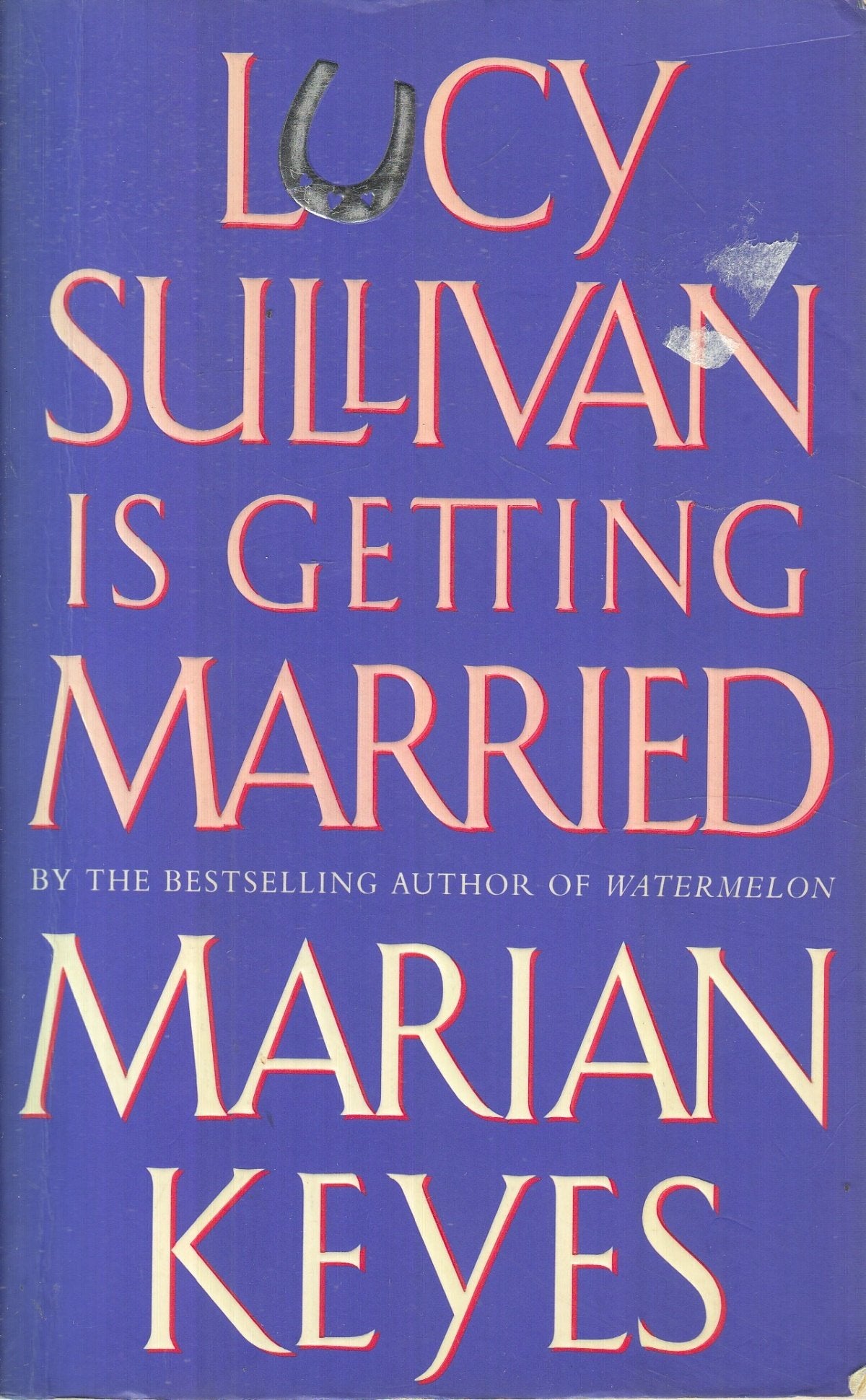Lucy Sullivan Is Getting Married 9780749324742