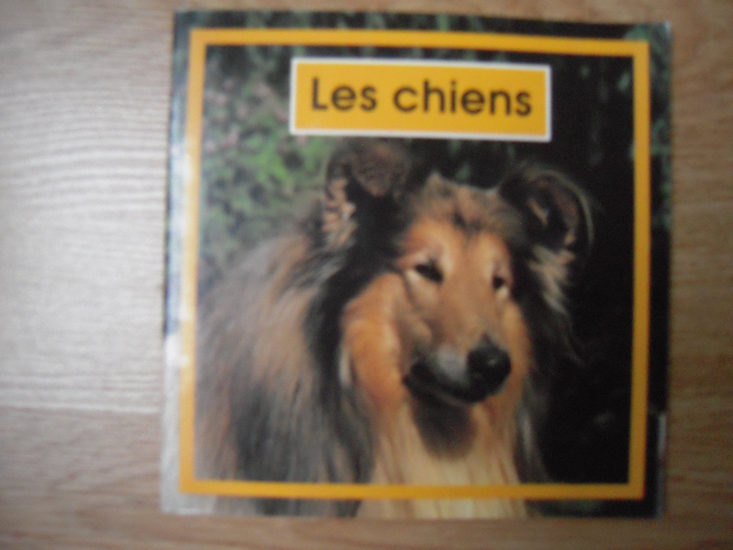 Les chiens 9782867266669