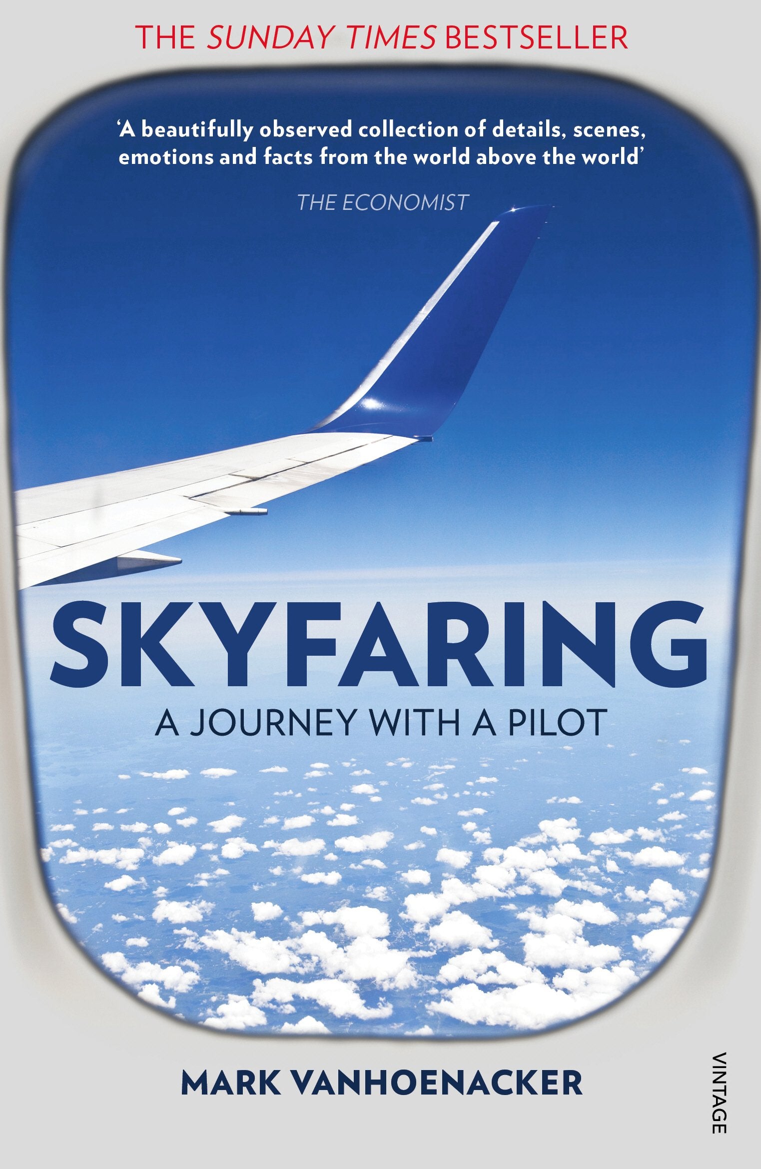 Skyfaring: A Journey with a Pilot 9780099589853