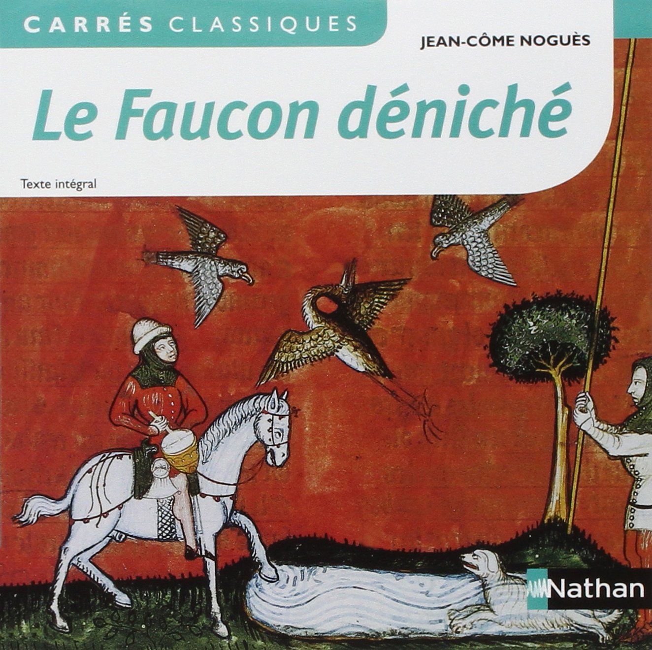Le Faucon déniché 9782091884271