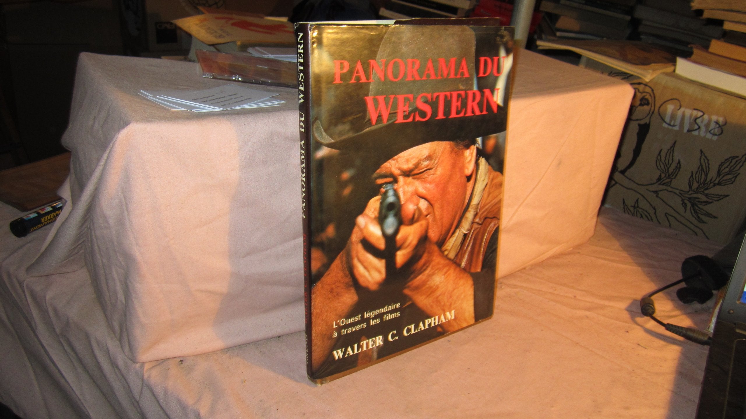 Panorama du Western : L'Ouest légendaire à travers les films 