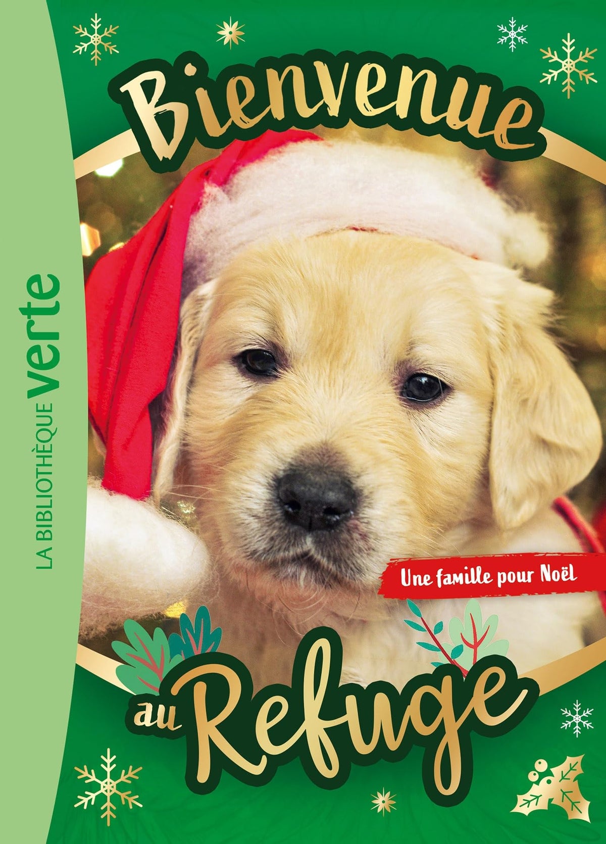 Bienvenue au refuge Hors-série XXL - Une famille pour Noël 9782017288374