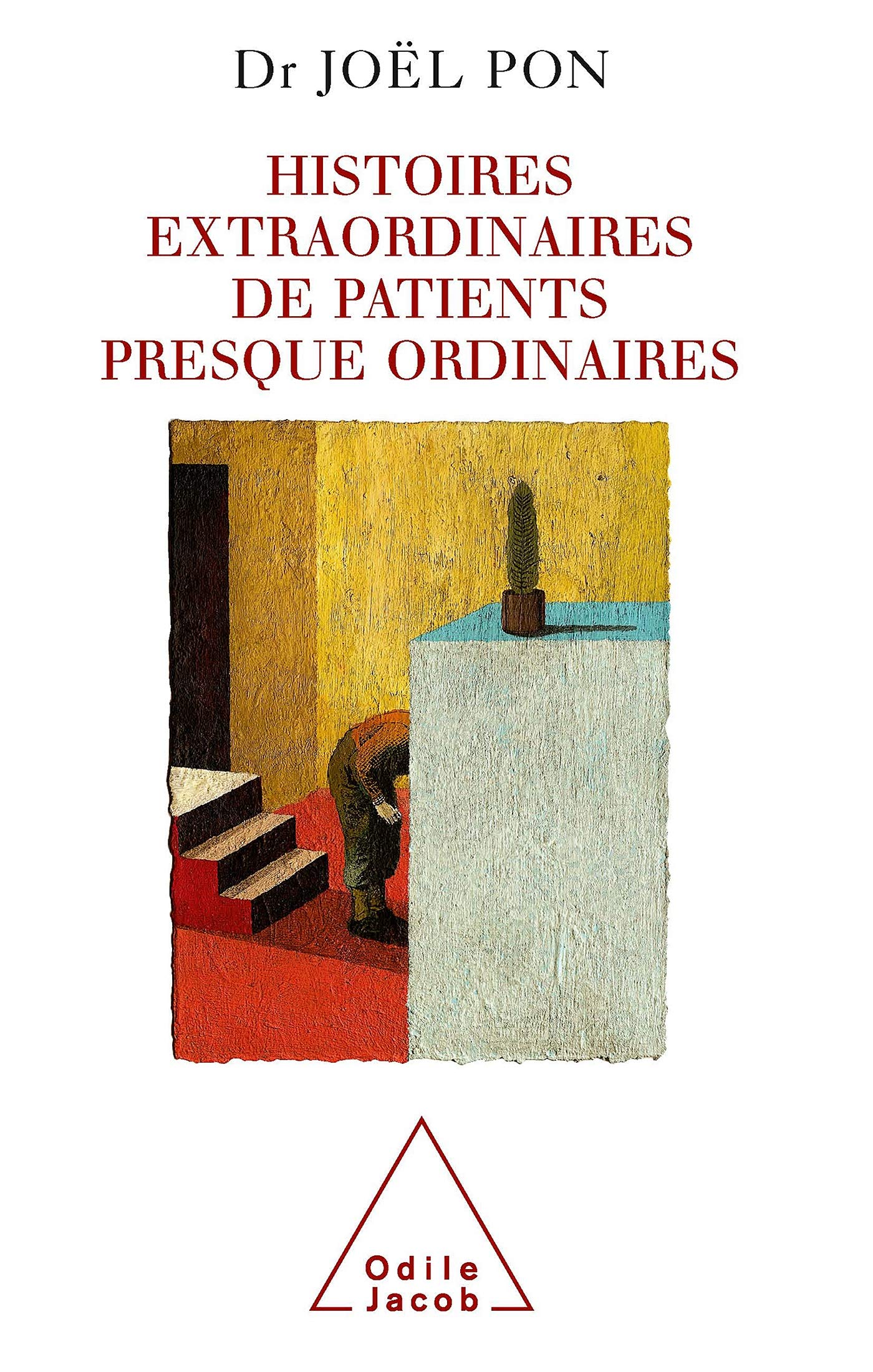 Histoires extraordinaires de patients ordinaires 9782738115751