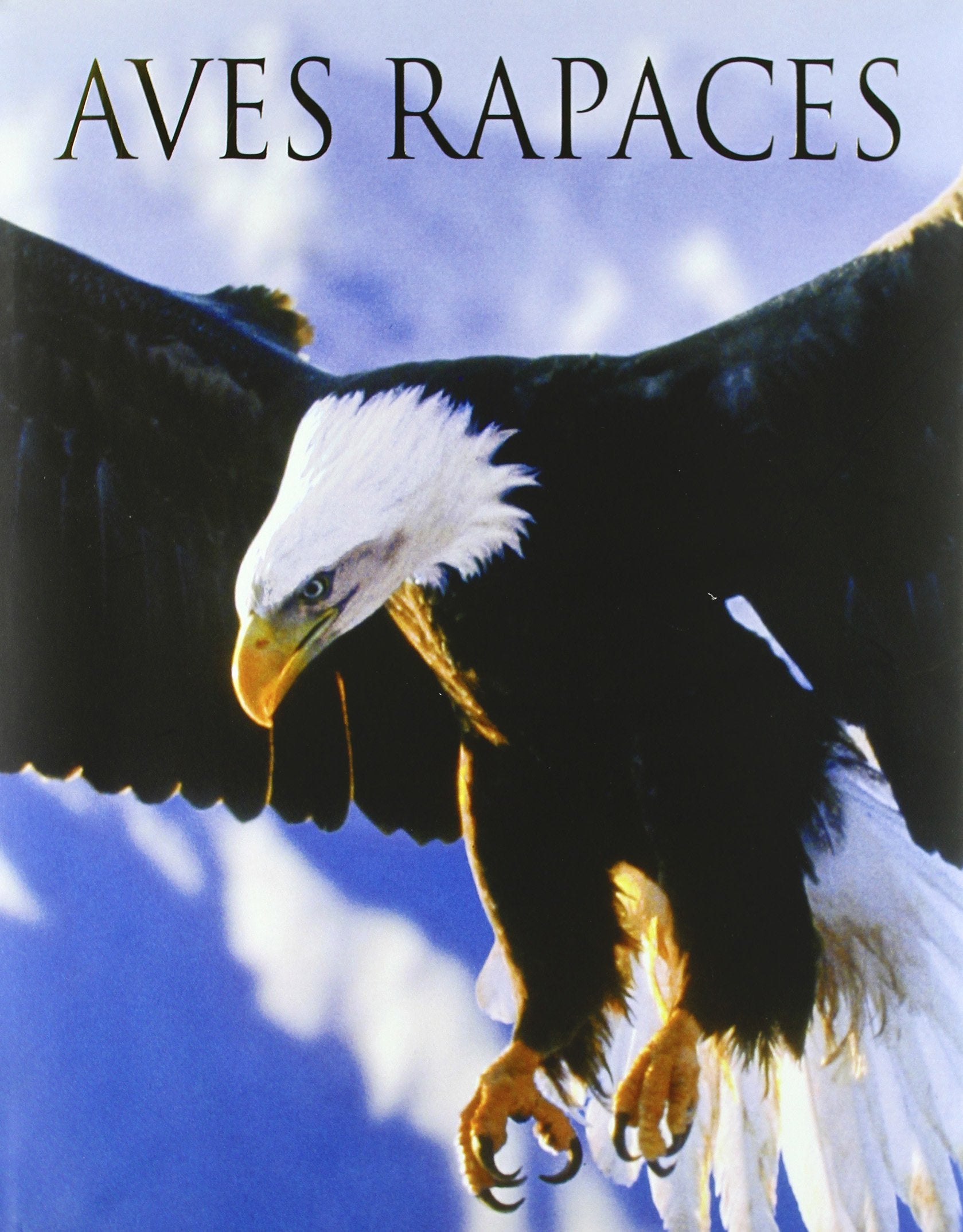 AVES RAPACES 9781405489256