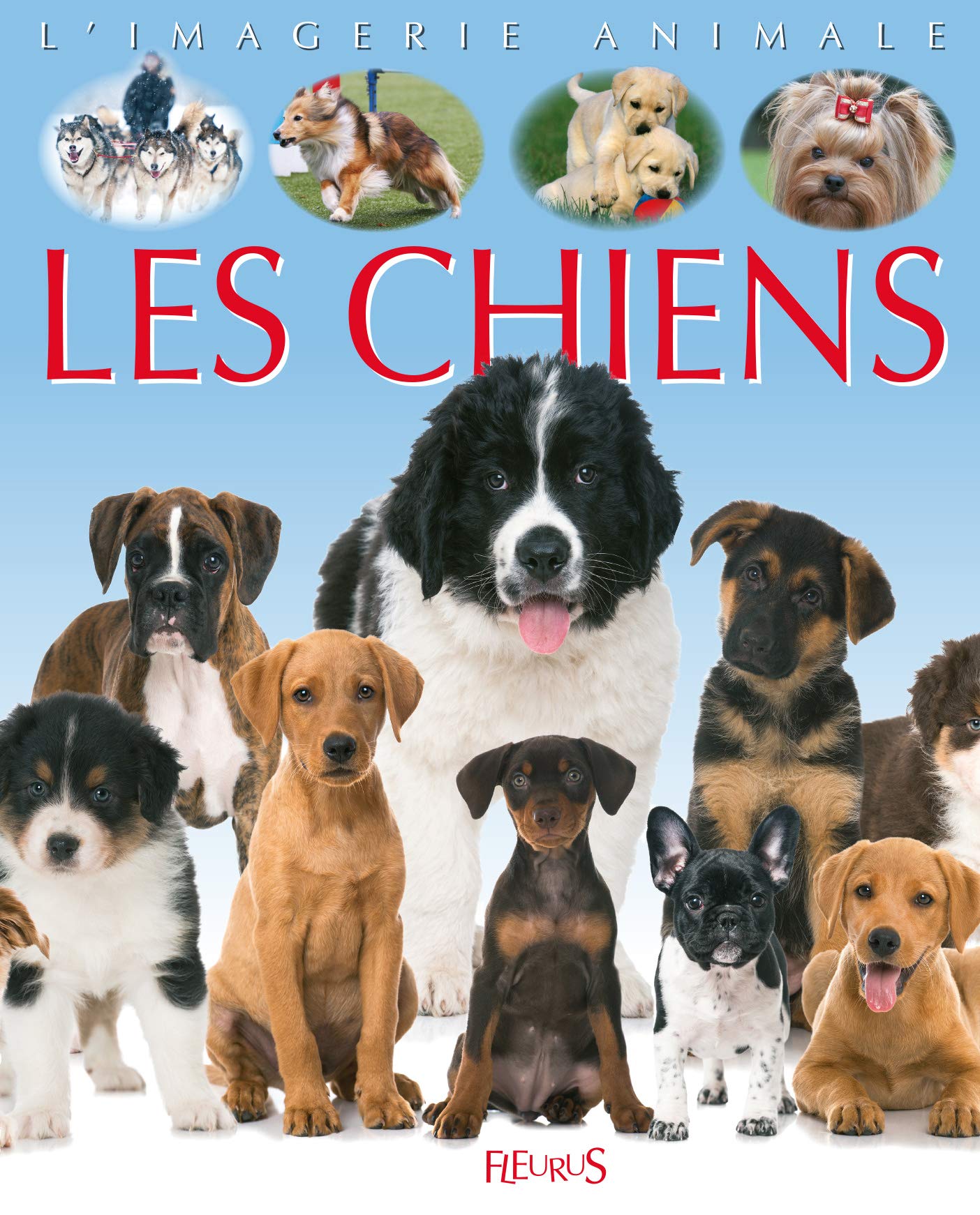 Les chiens 9782215145318