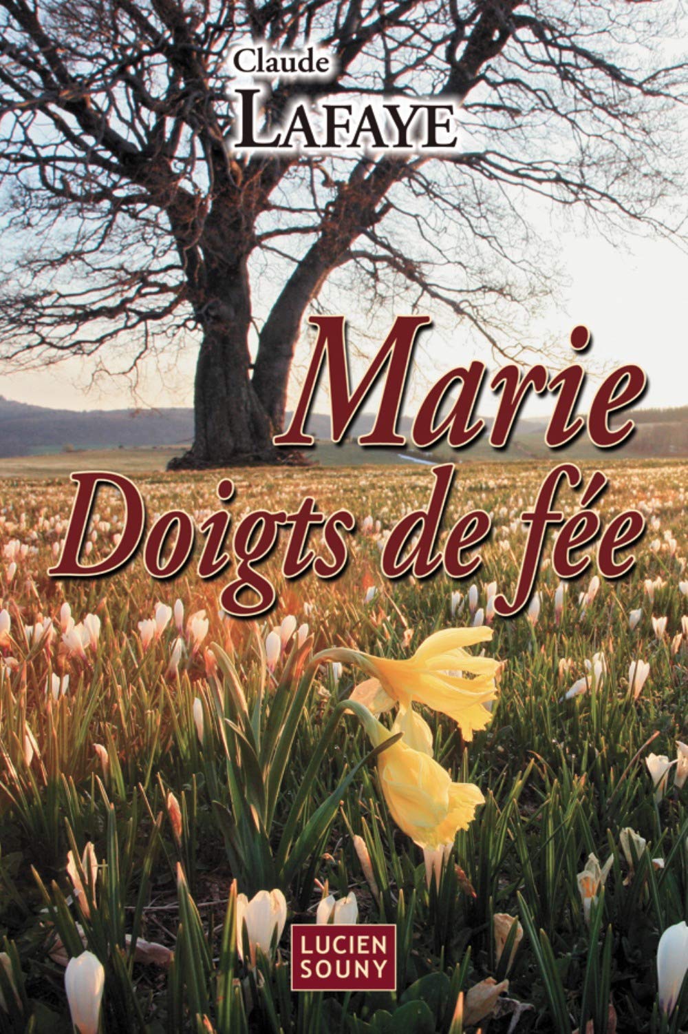 Marie Doigts de fée 9782848861494