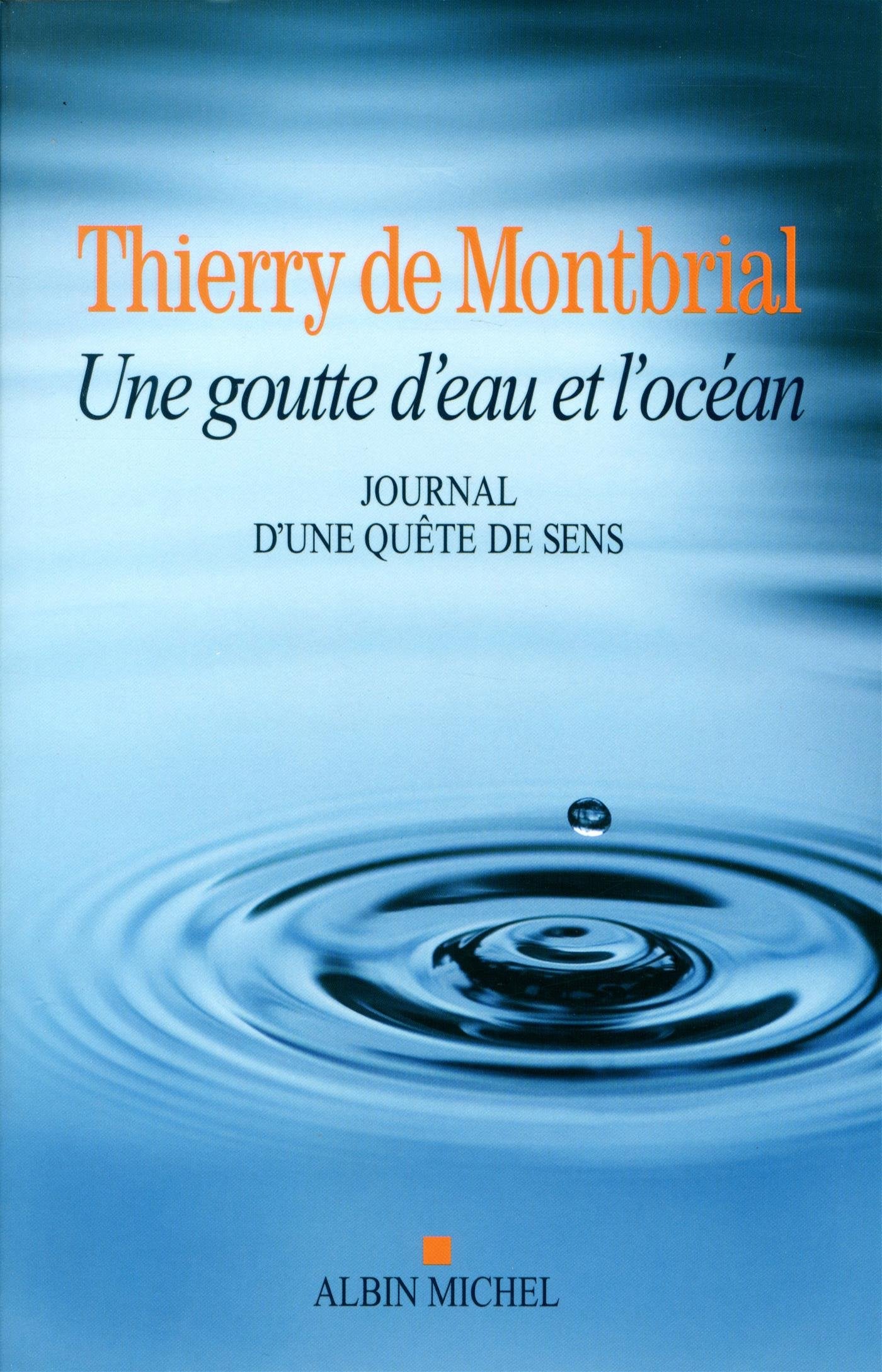 Une goutte d'eau et l'océan: Journal d'une quête de sens 1977-2014 9782226316127