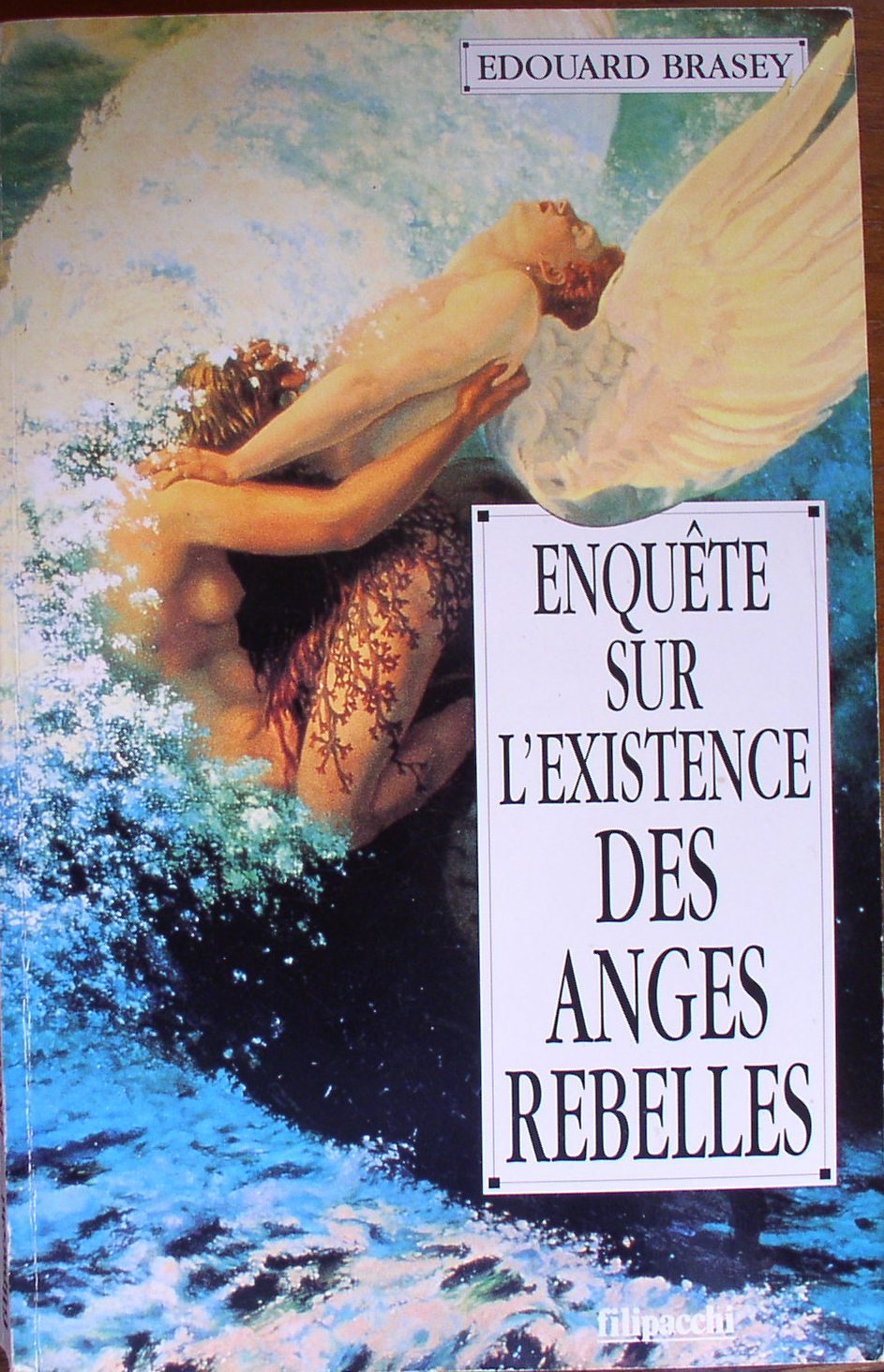 Enquête sur l'existence des anges rebelles 9782850183980