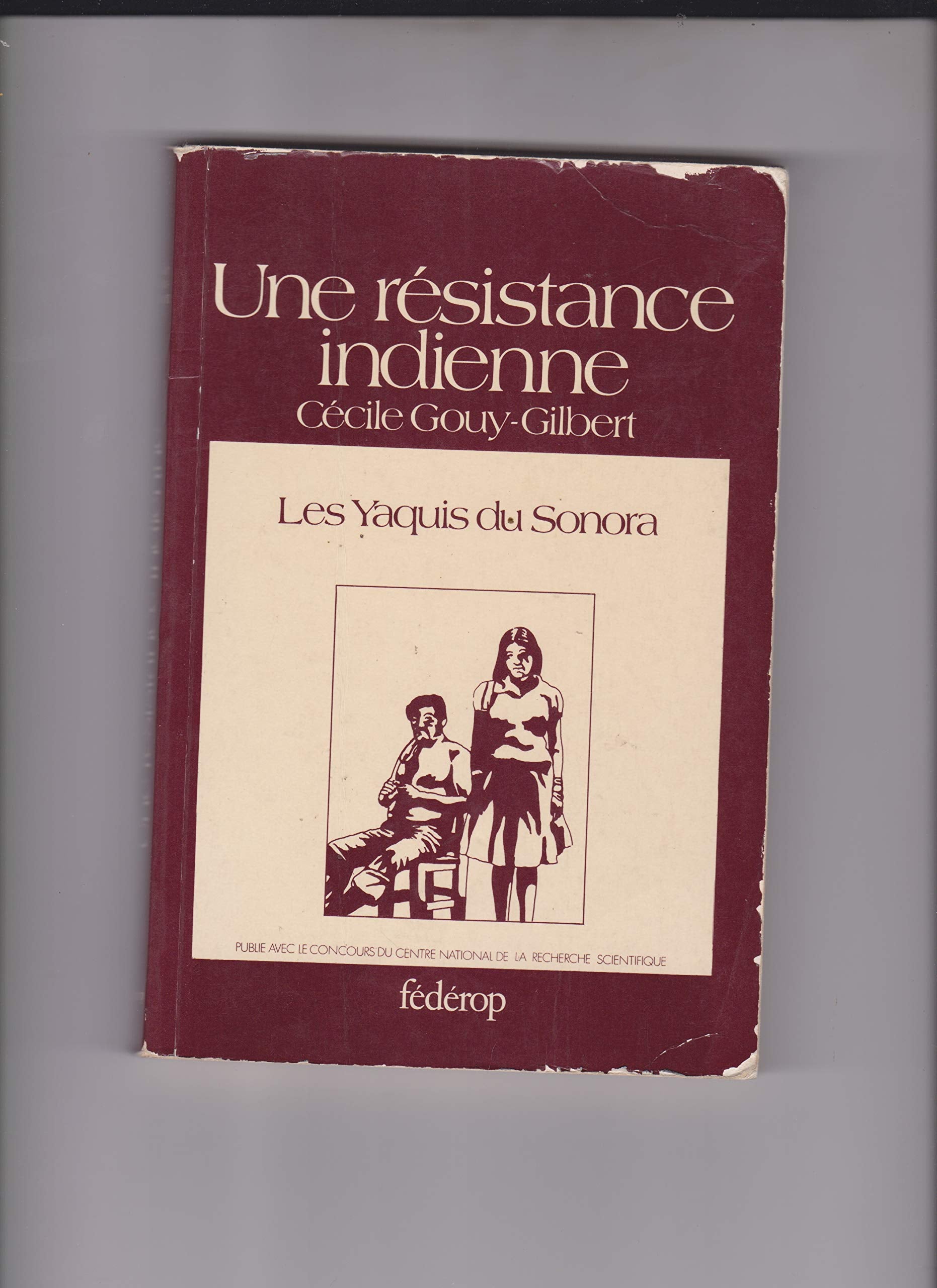 Une résistance indienne 9782857920182