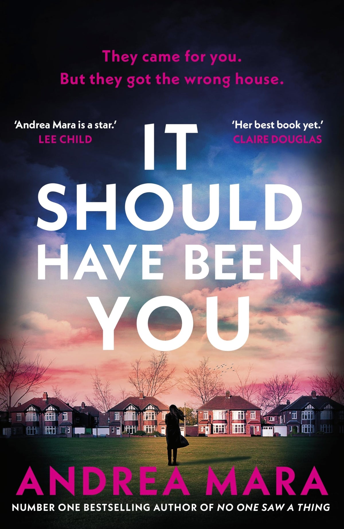 It Should Have Been You: The 2025 Crime Novel of the Year from the million-copy bestselling author of All Her Fault, now a hit TV series starring Sarah Snook 9780857505880