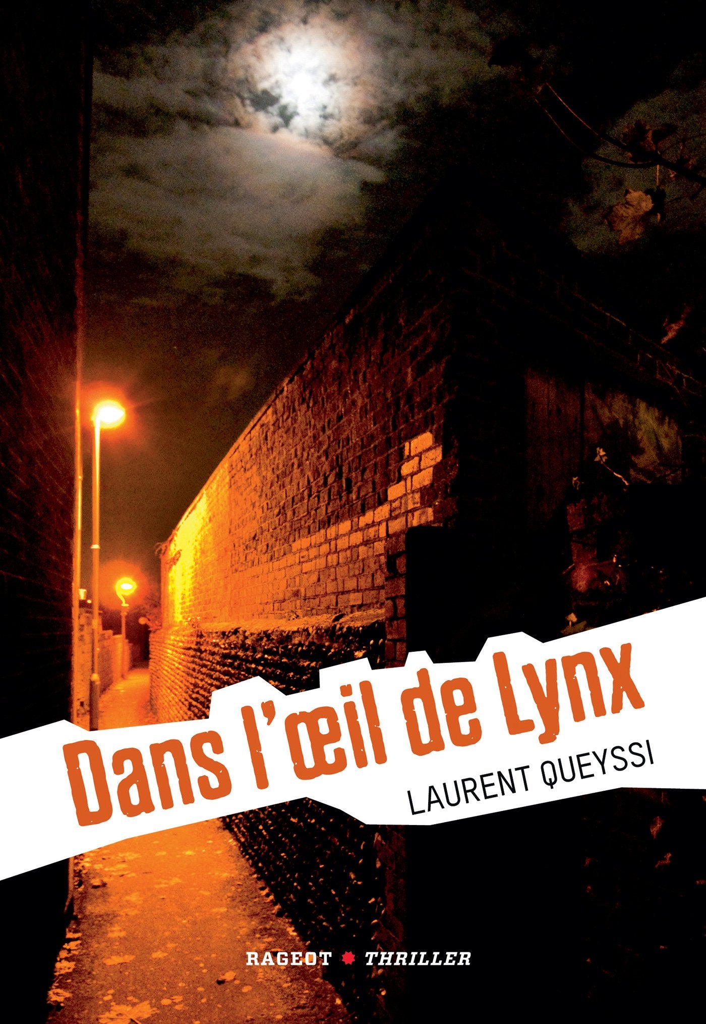 Dans l'oeil de Lynx 9782700243154