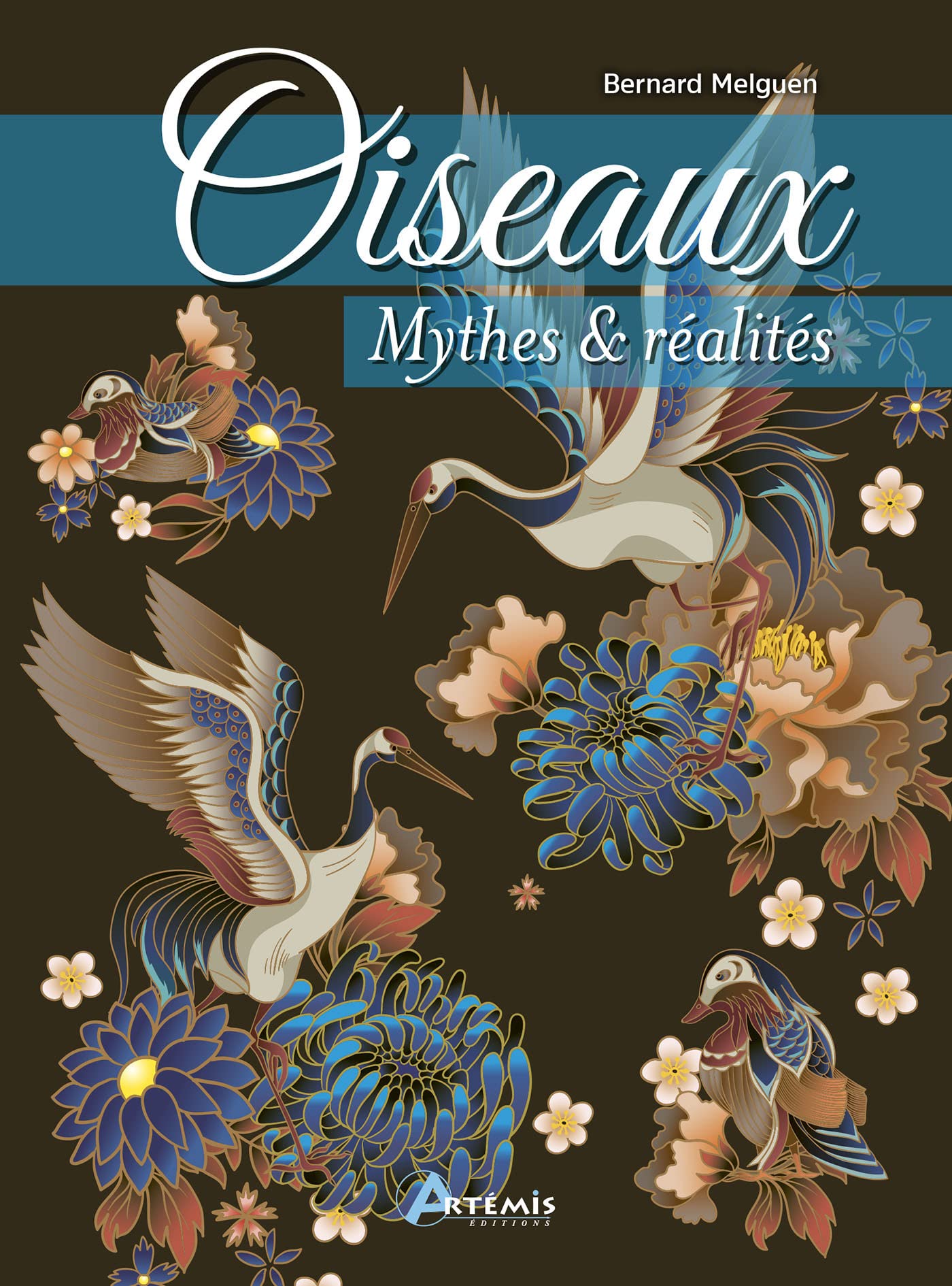 Oiseaux, mythes et réalités 9782816020212
