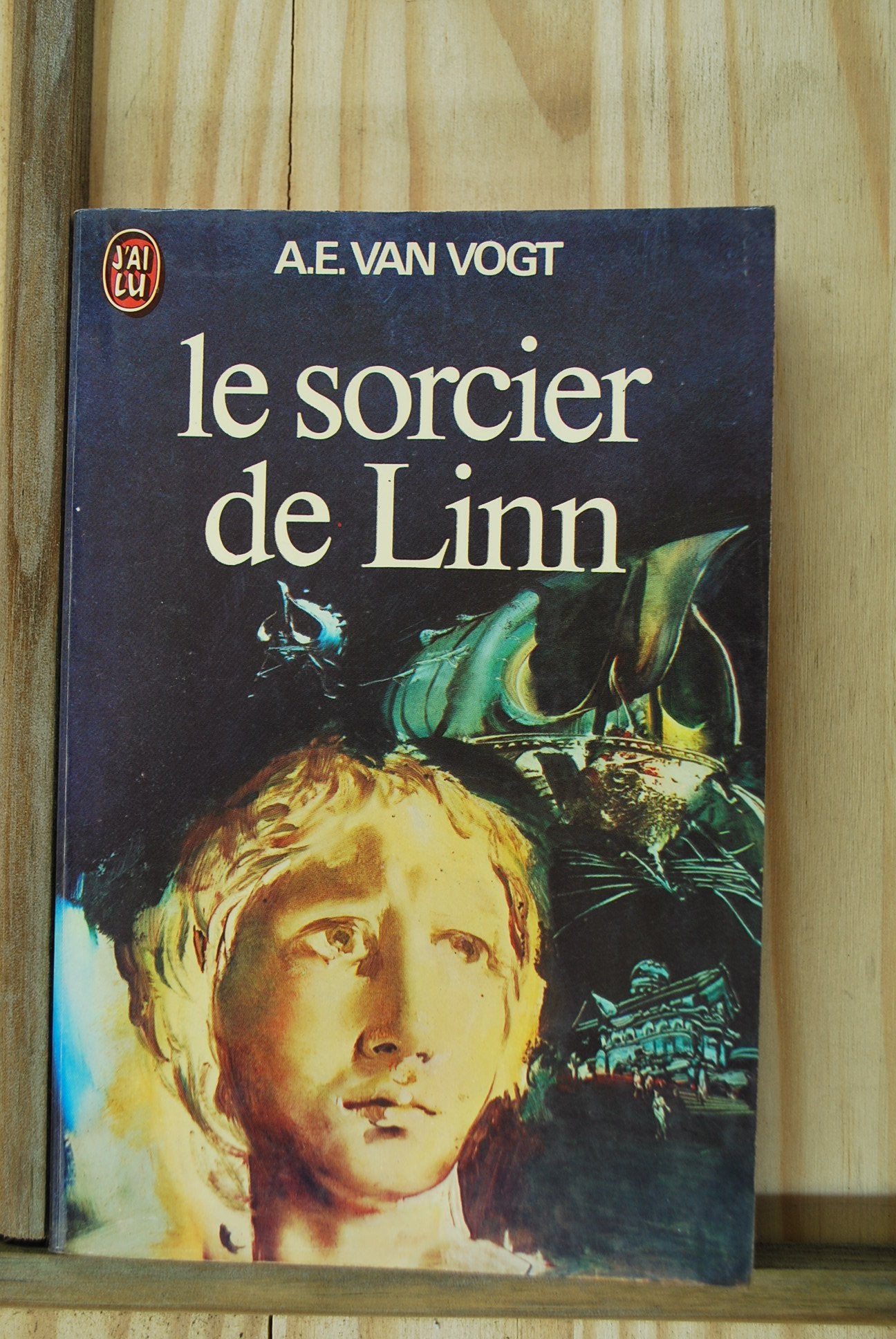Le sorcier de Linn 