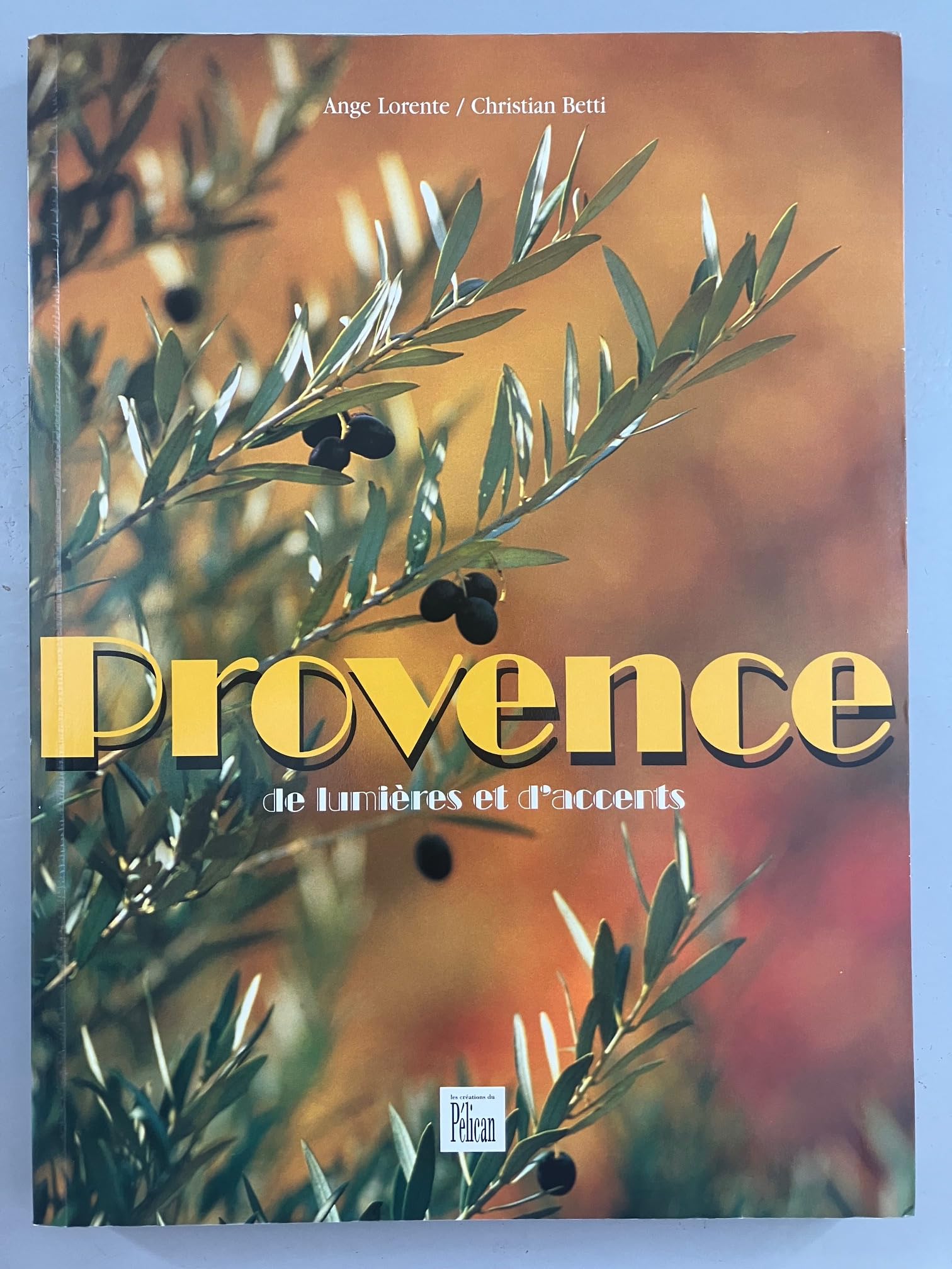 Provence : De lumières et d'accents 9782719106600