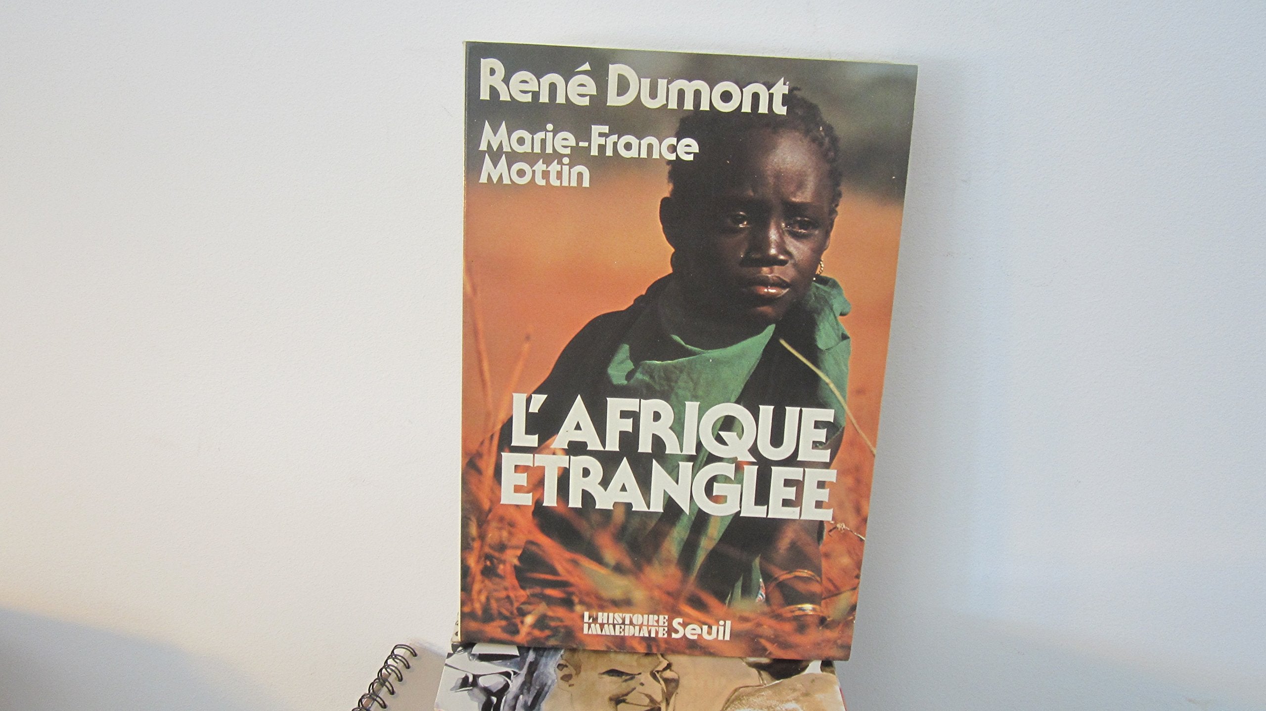 L'Afrique étranglée : Zambie, Tanzanie, Sénégal, Côte-d'Ivoire, Guinée-Bissau, Cap-Vert 9782020056526