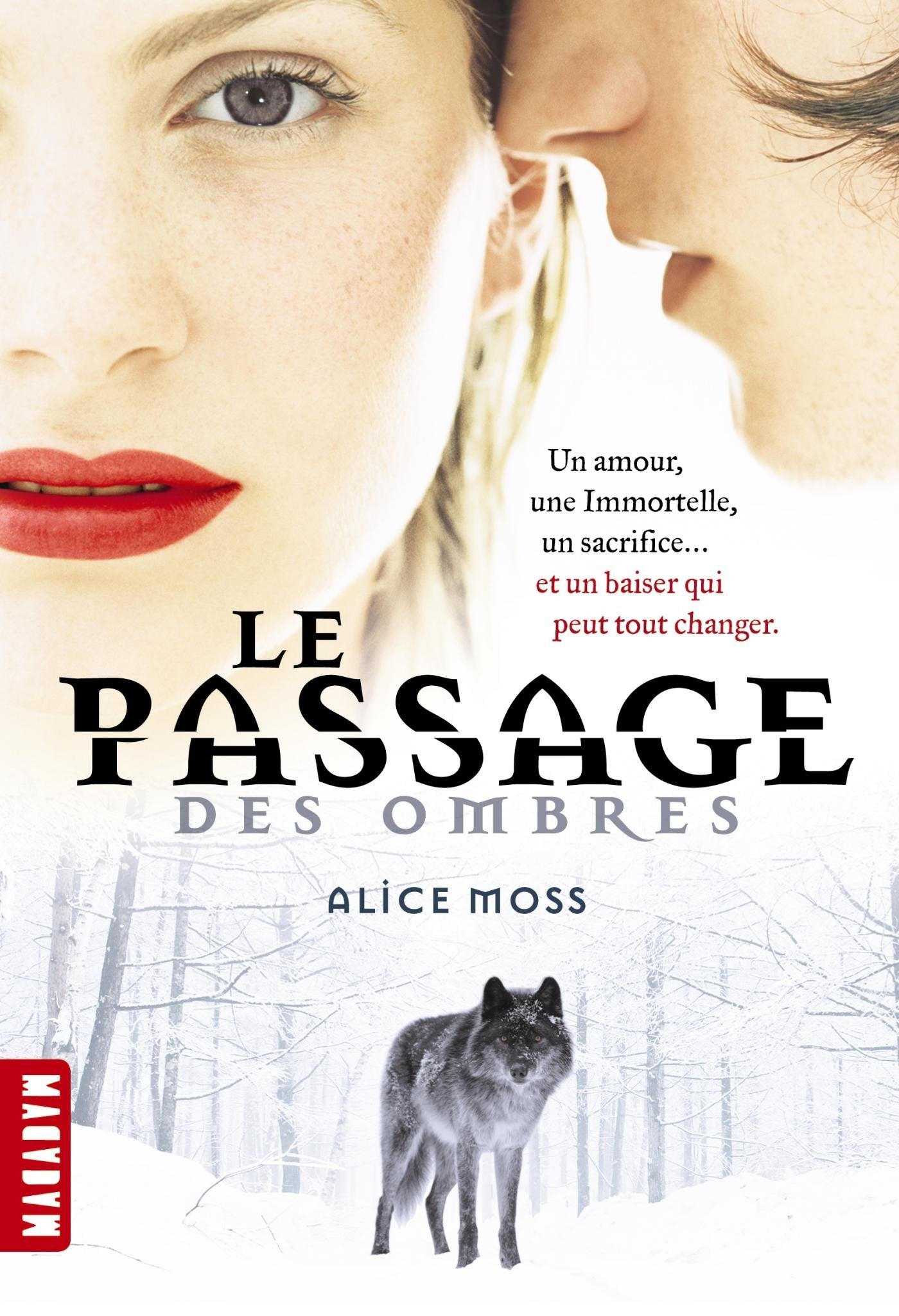 Le passage des ombres 9782745960481