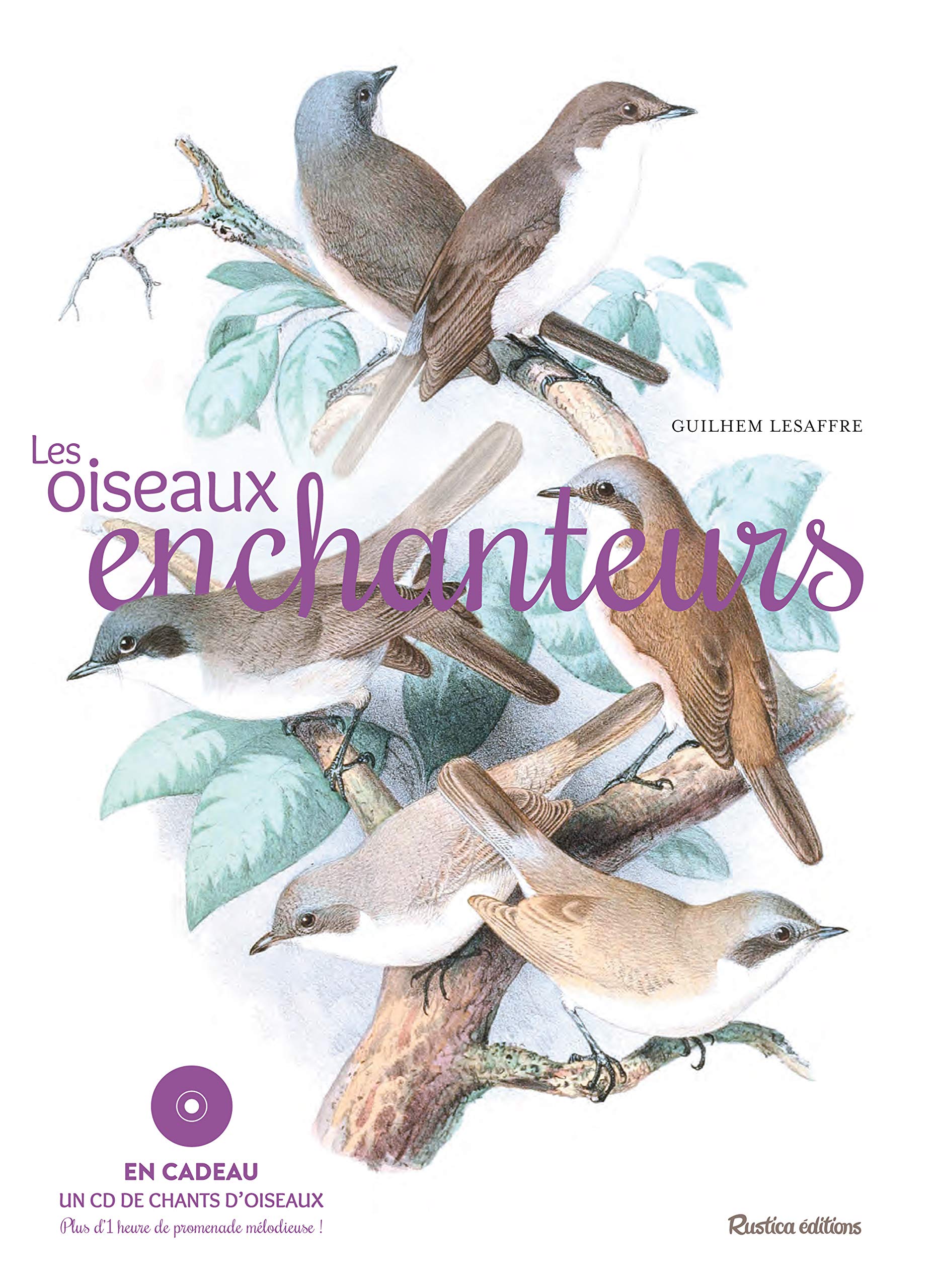 Les oiseaux enchanteurs 9782815306713