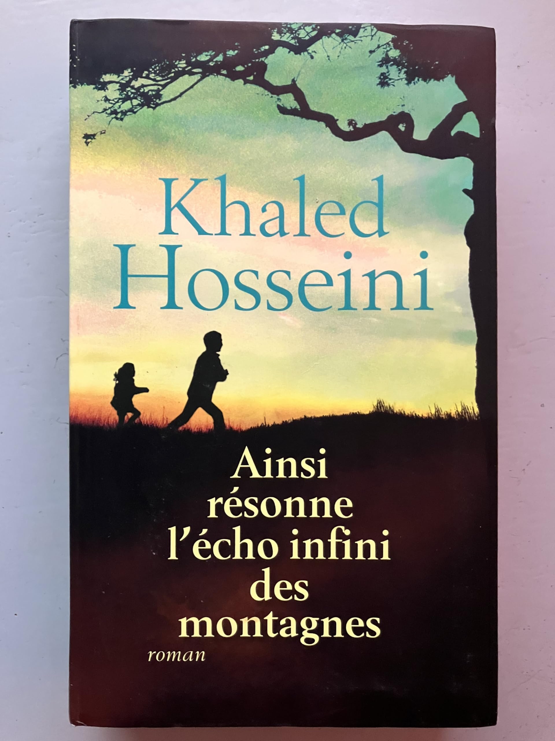 Ainsi résonne l'écho infini des montagnes 9782298088427