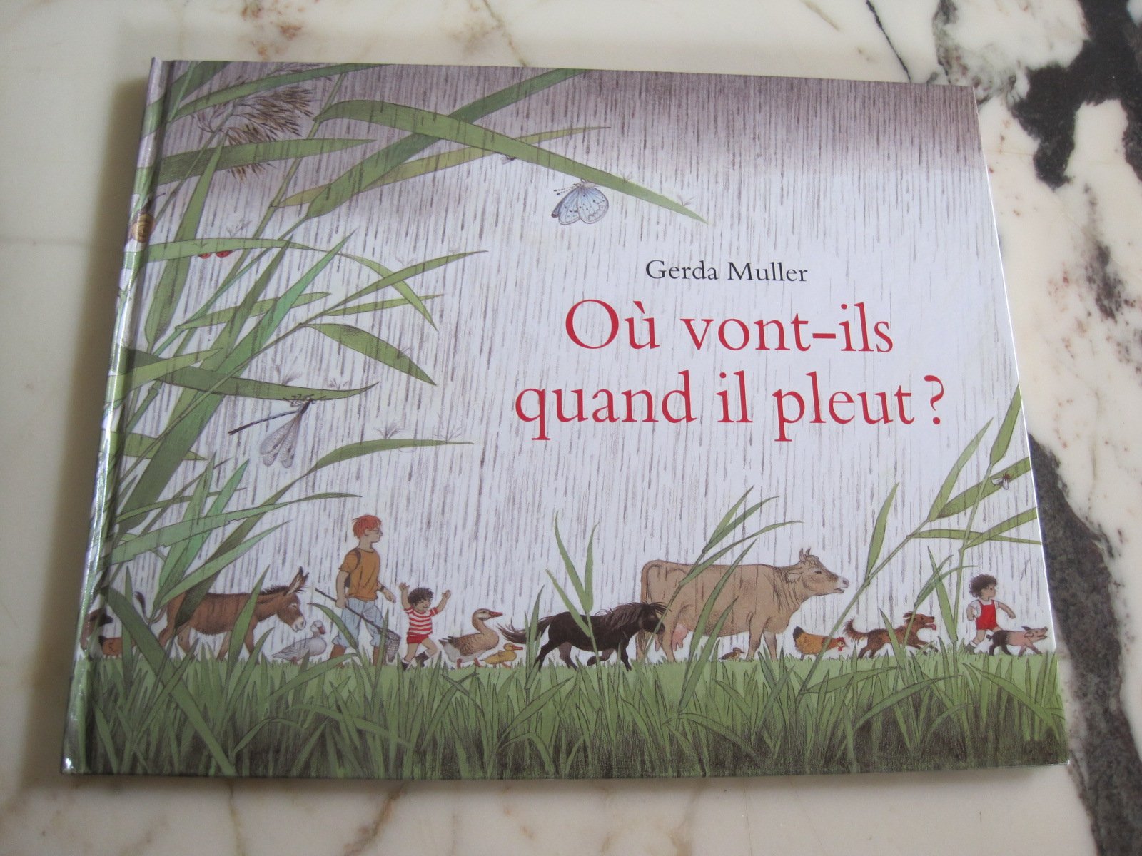 Où vont-ils quand il pleut ? 9782211063265