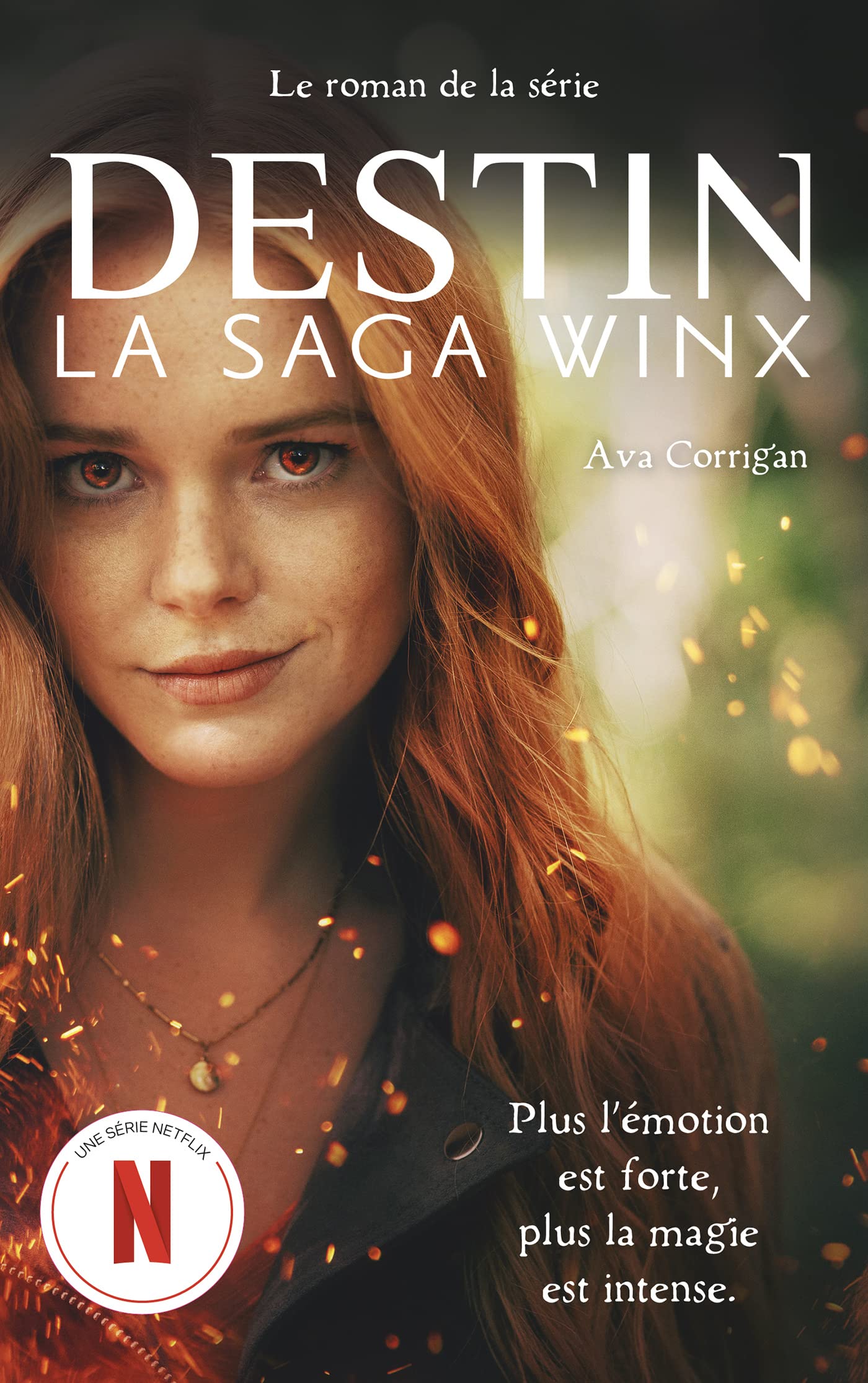 Destin : La Saga Winx - Le roman officiel de la série Netflix 9782016285183