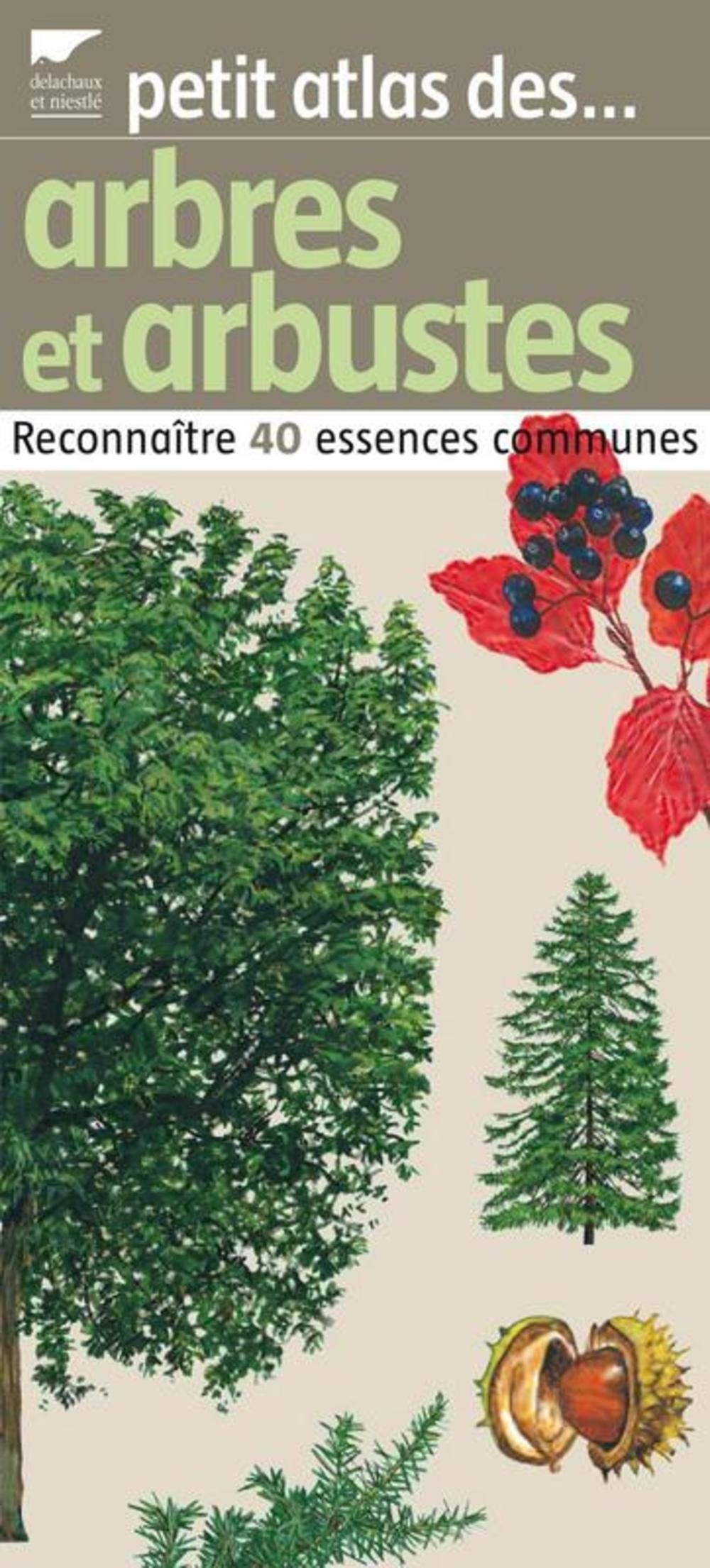 Petit atlas des arbres et arbustes: Reconnaître 40 essences communes 9782603015162
