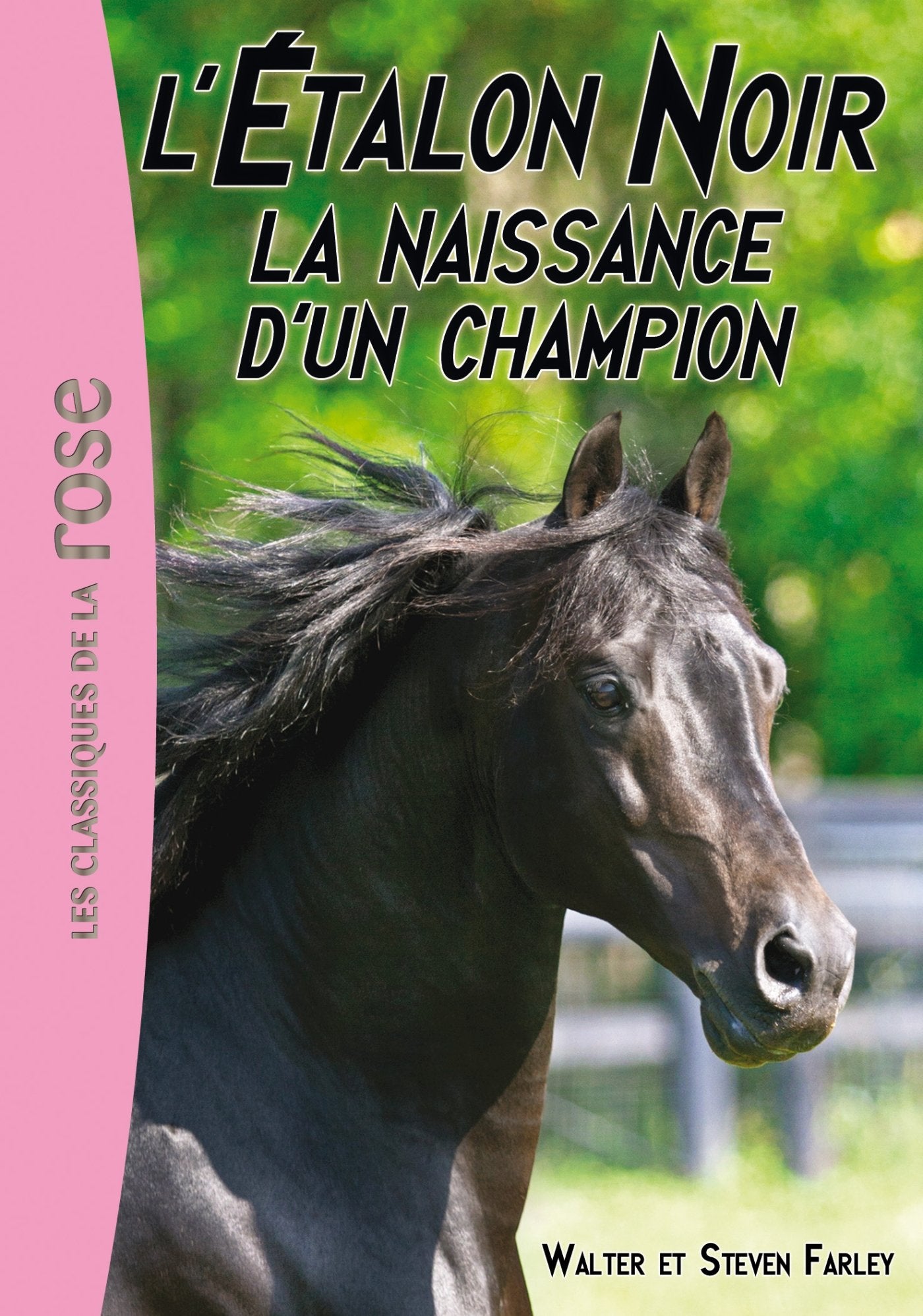 L'Étalon Noir 19 - La naissance d'un champion 9782011956637