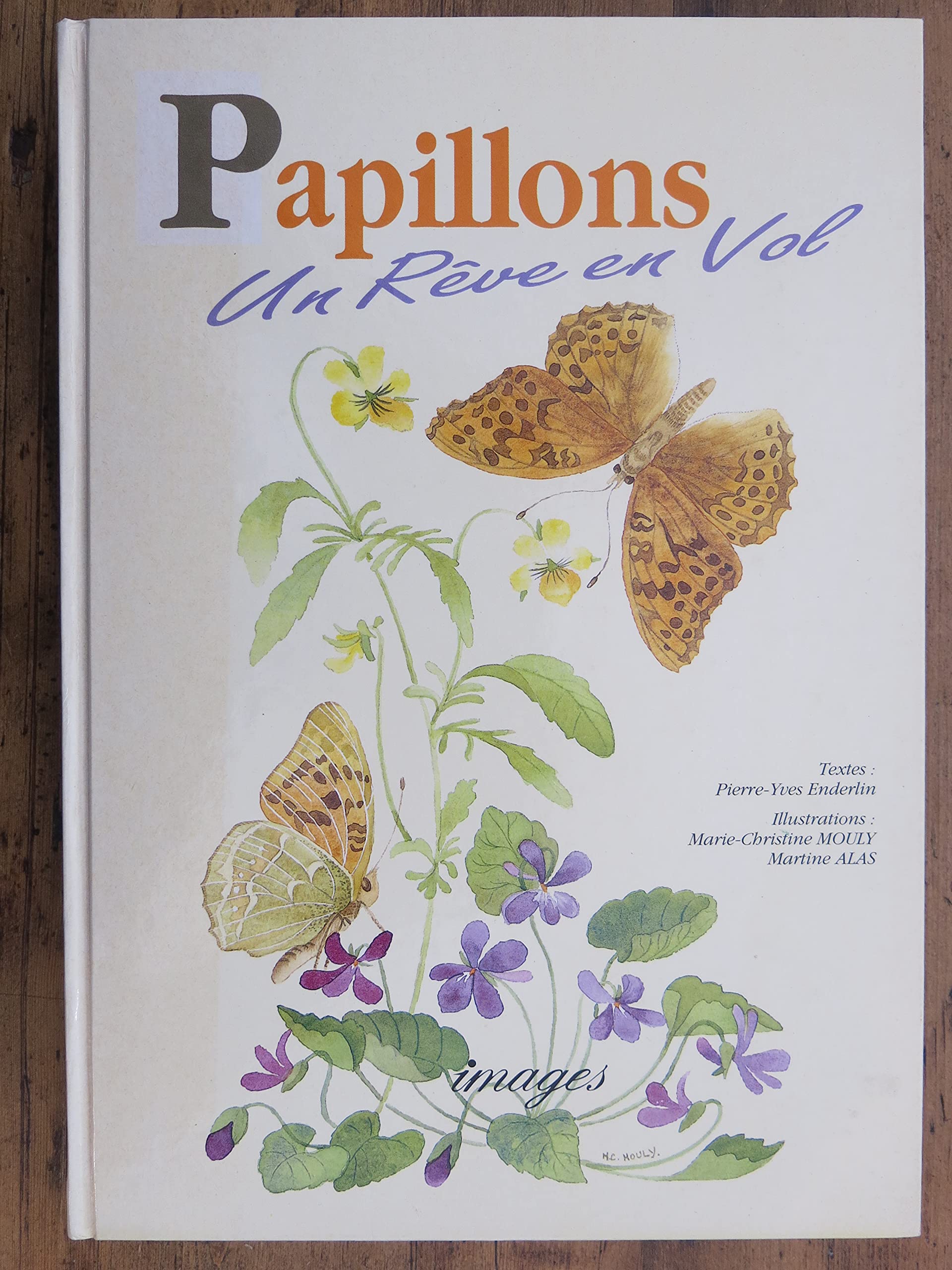 Papillons Un Reve En Vol 9782908136685