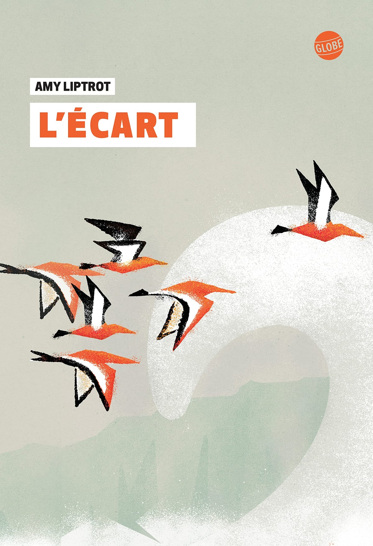 L'écart 9782211235402
