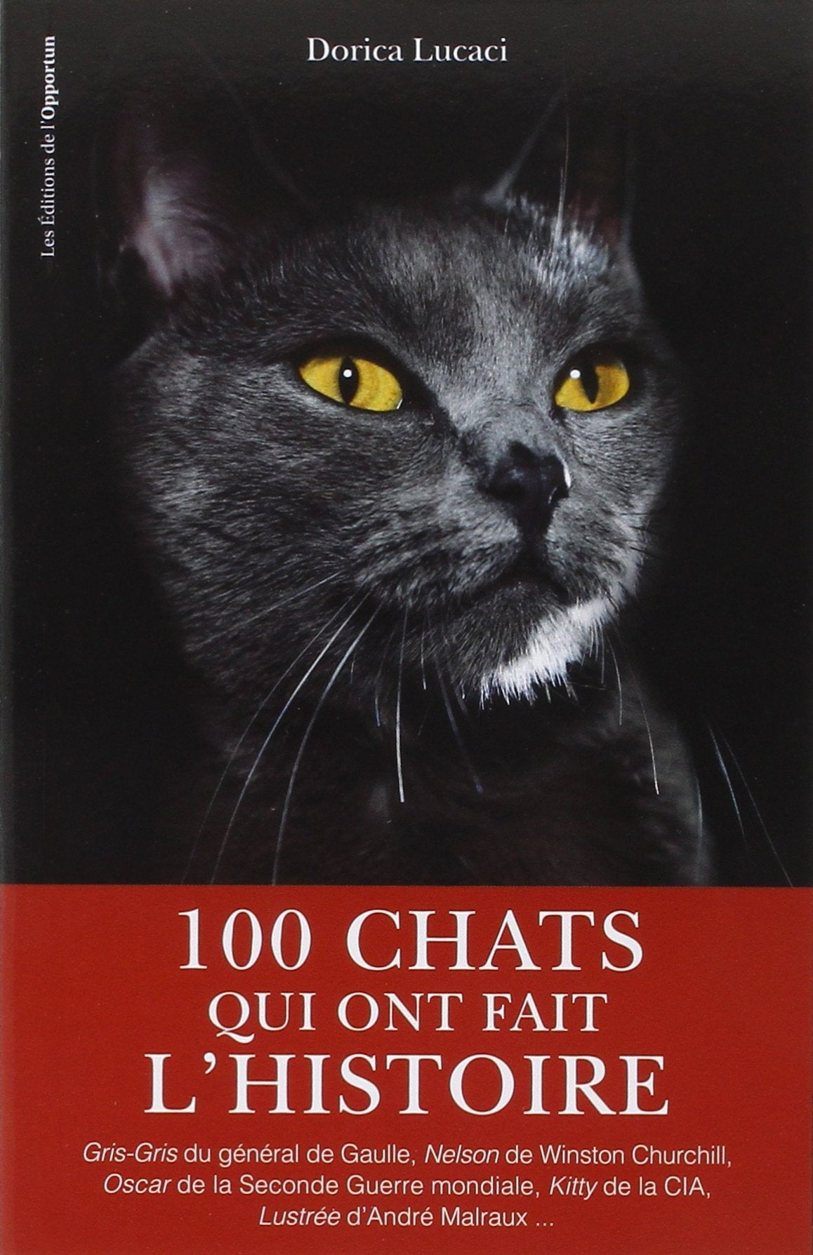 100 chats qui ont fait l'histoire 9782360753642