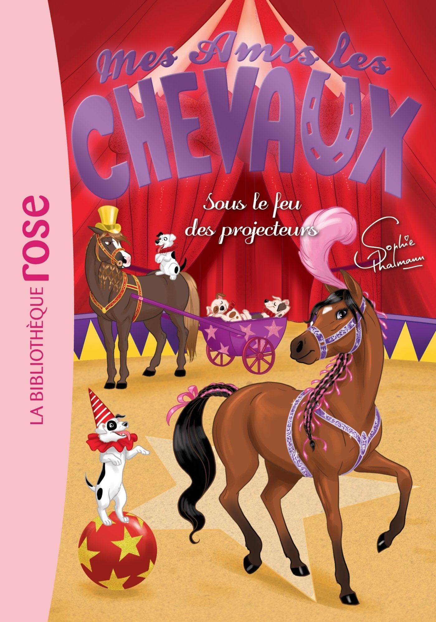 Mes amis les chevaux, tome 9 : Sous le feu des projecteurs 9782012526686