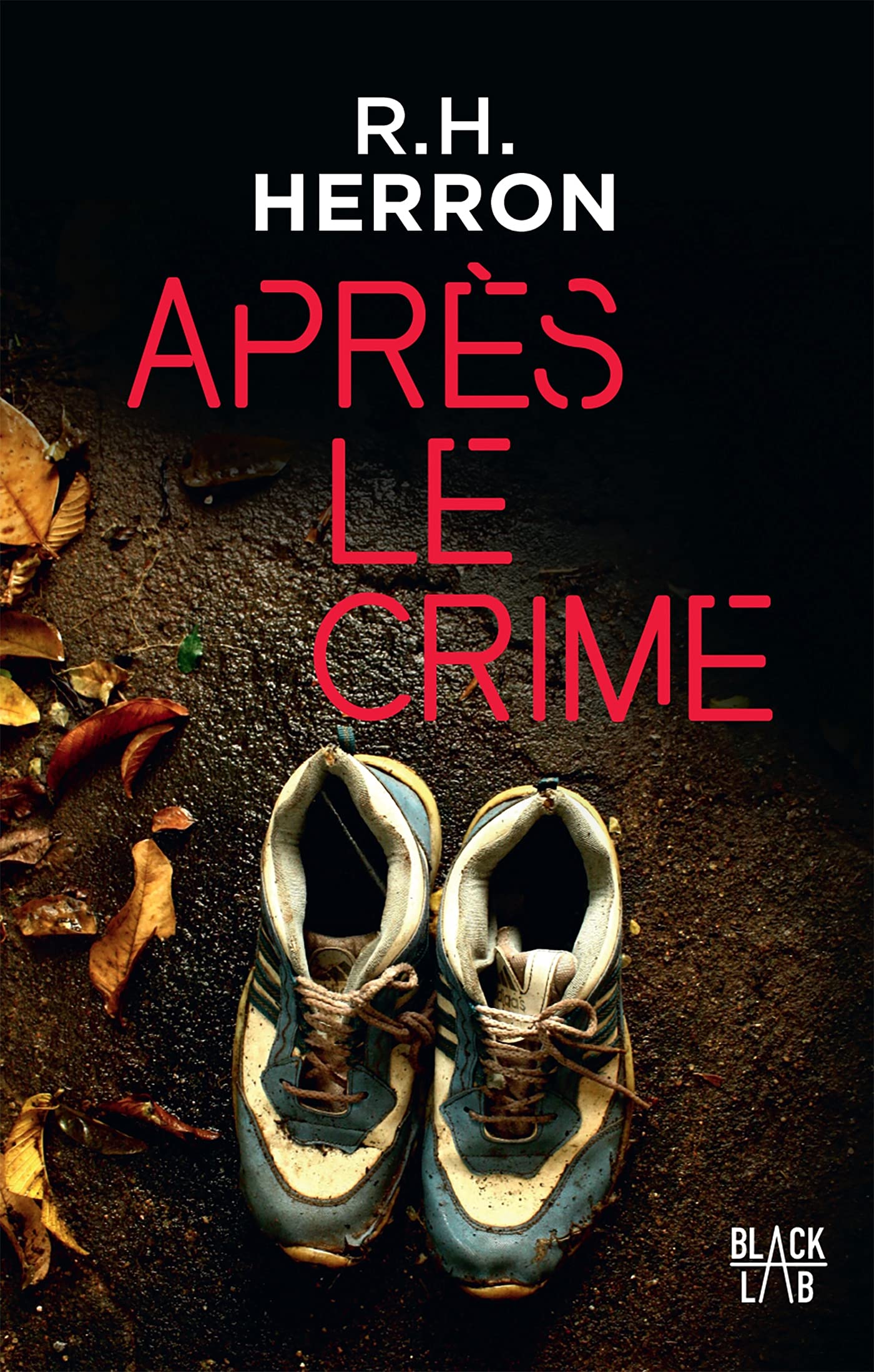 Après le crime 9782501138550