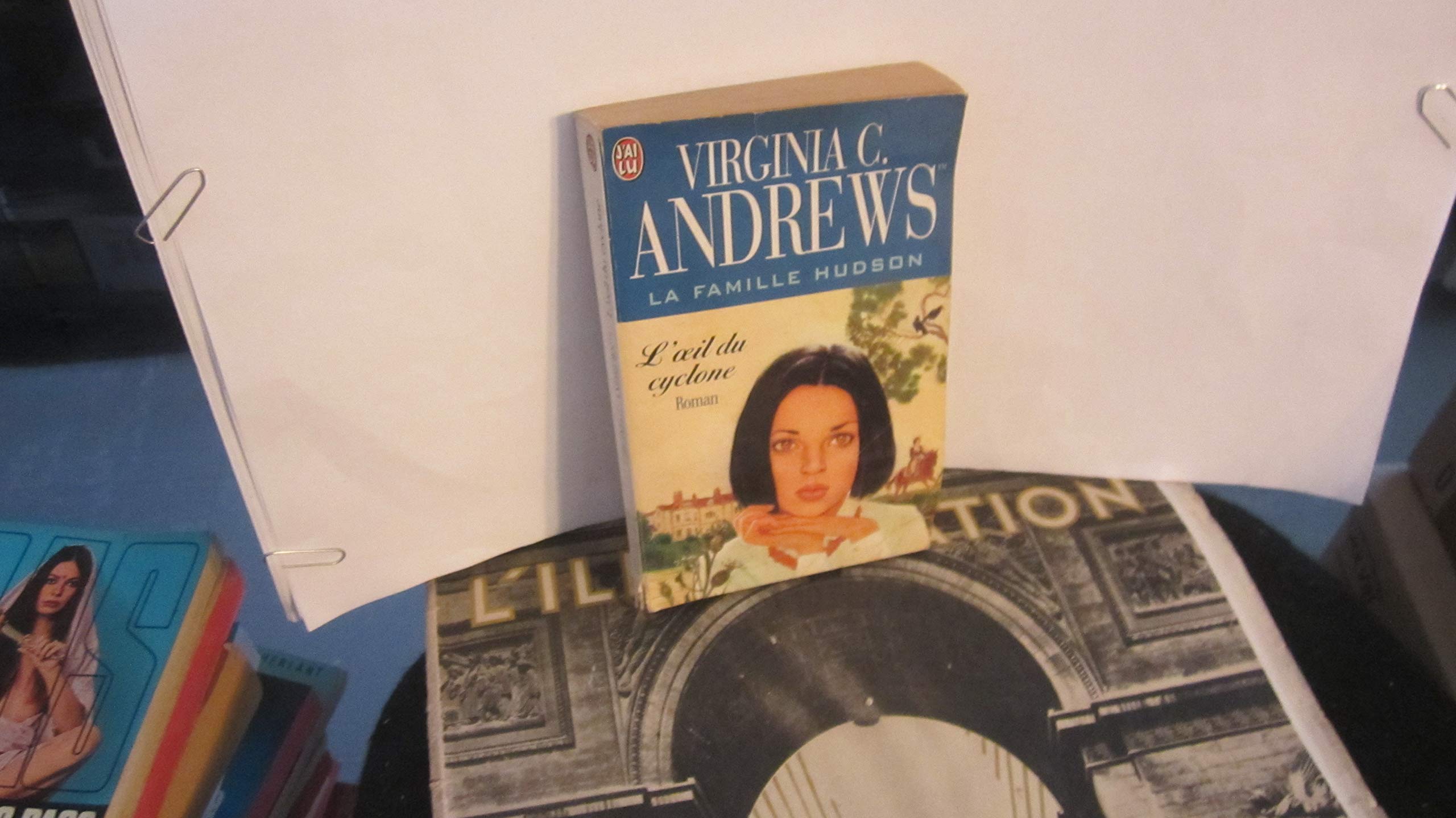 La Famille Hudson, tome 3 : L'Oeil du cyclone 9782290319208