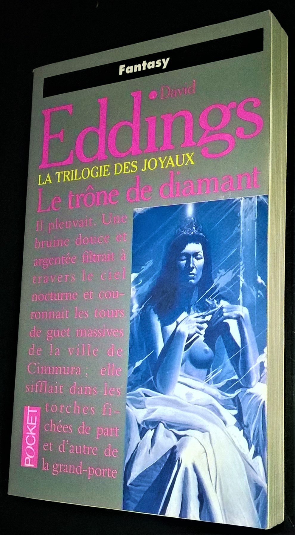 Le trône de diamant 9782266066051