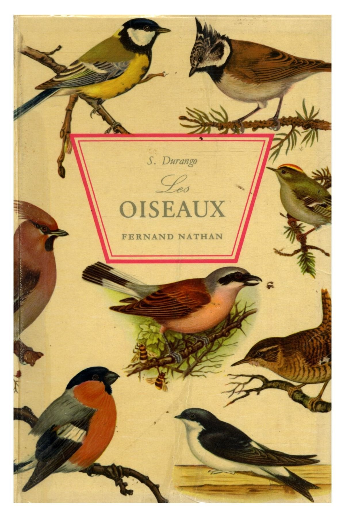 Les oiseaux / Durango, S. / Réf: 13369 3700928947919