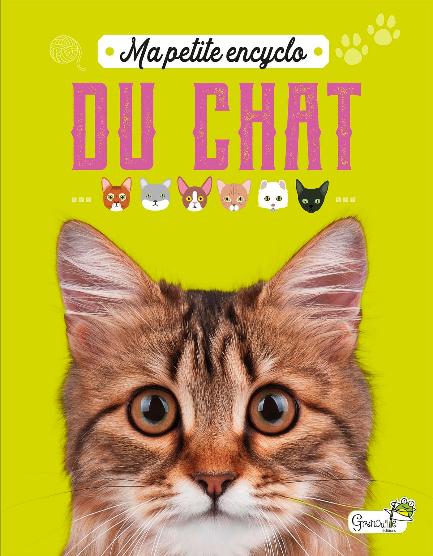 Ma petite encyclo du chat 9782366534962